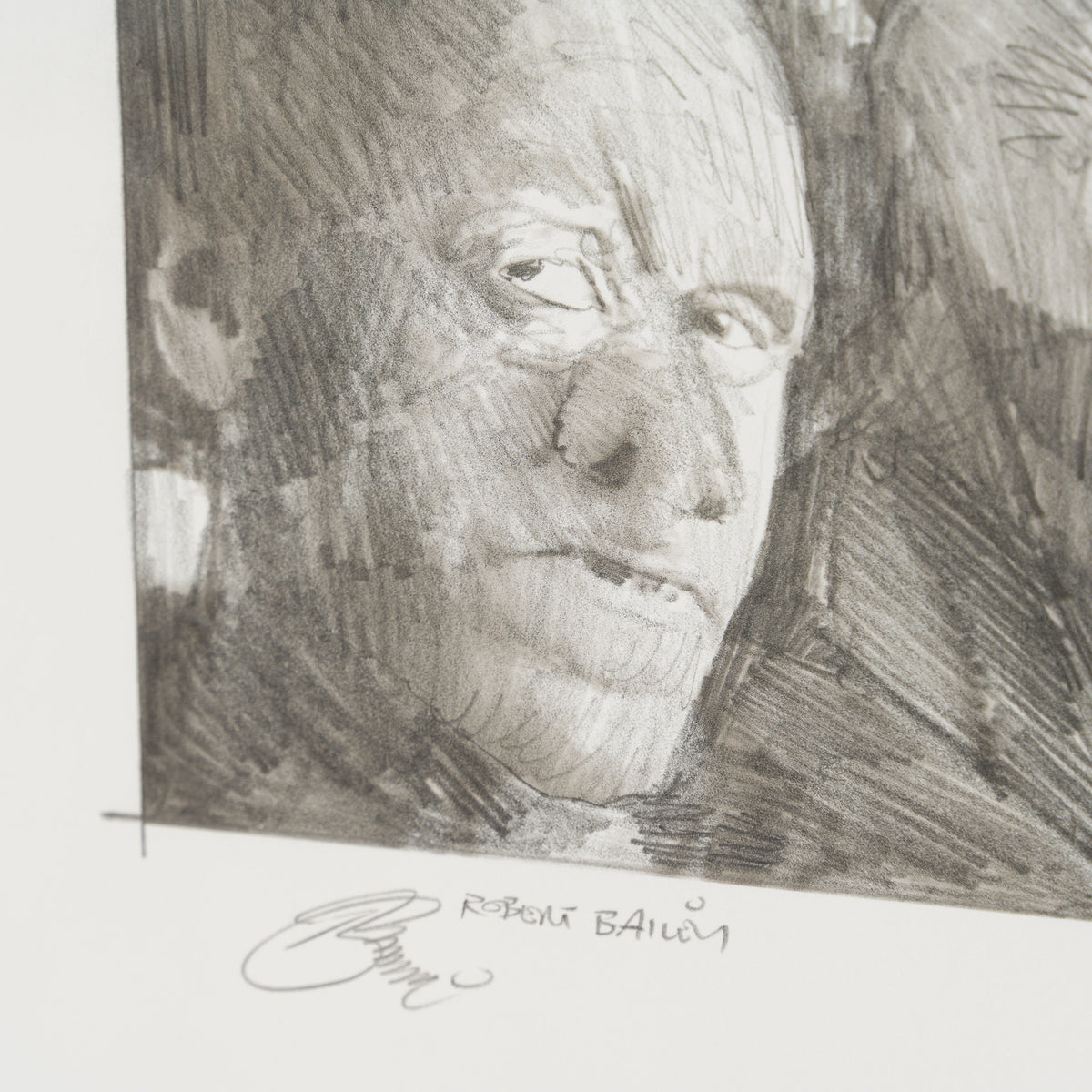 Product image 1 for robert-bailey-rapid-defense