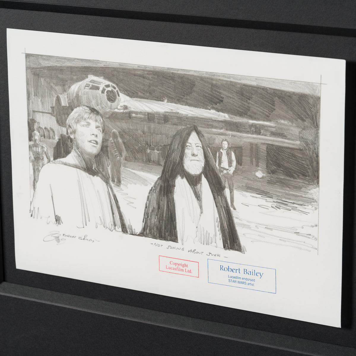 Product image 1 for robert-bailey-not-joking-about-junk