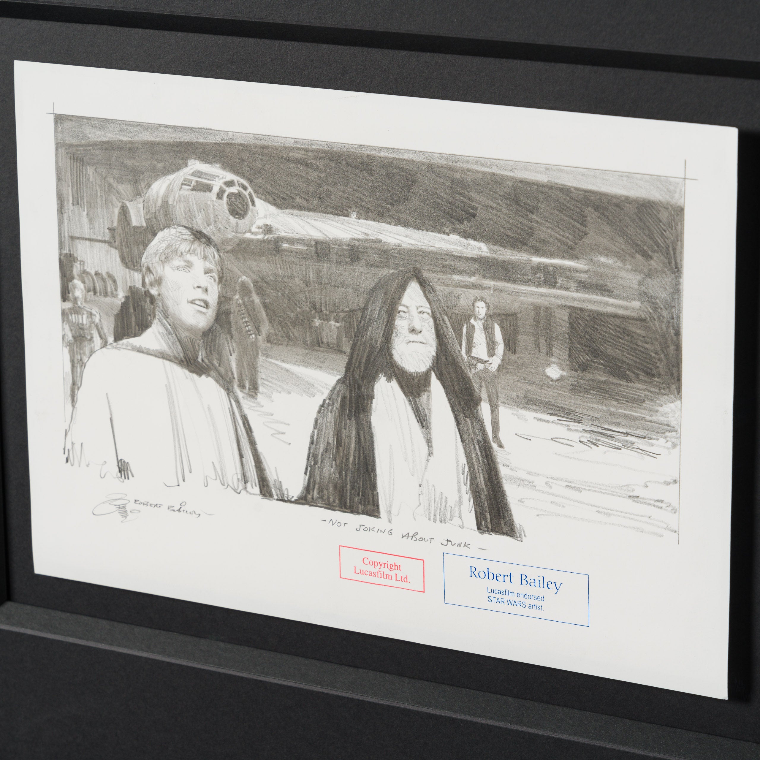 Product image 1 for robert-bailey-not-joking-about-junk