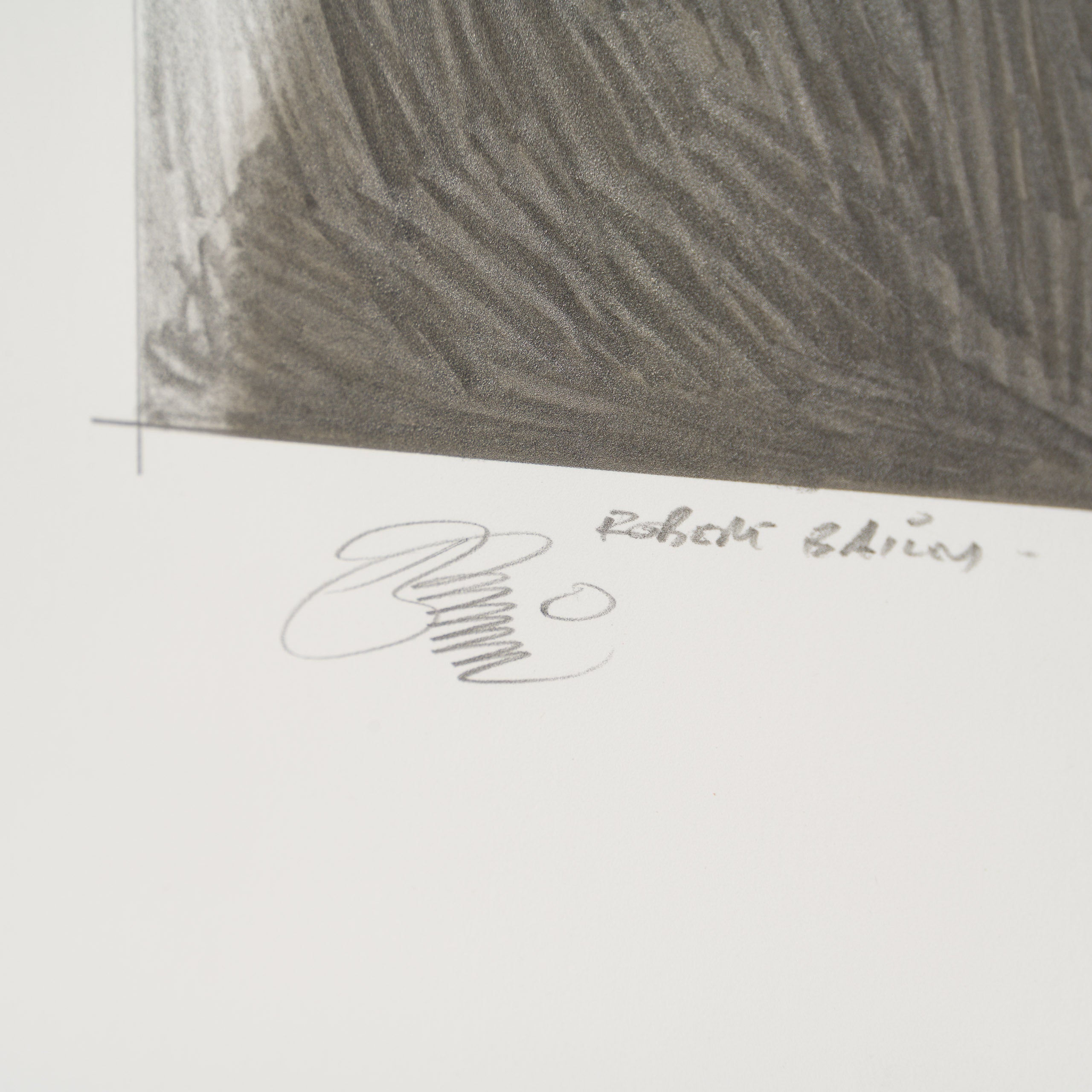 Product image 1 for robert-bailey-defiance-on-the-death-star