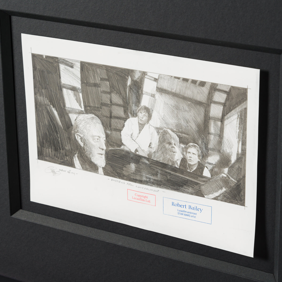 RBA ORI SKT 34941 Emerging From Concealment 4 