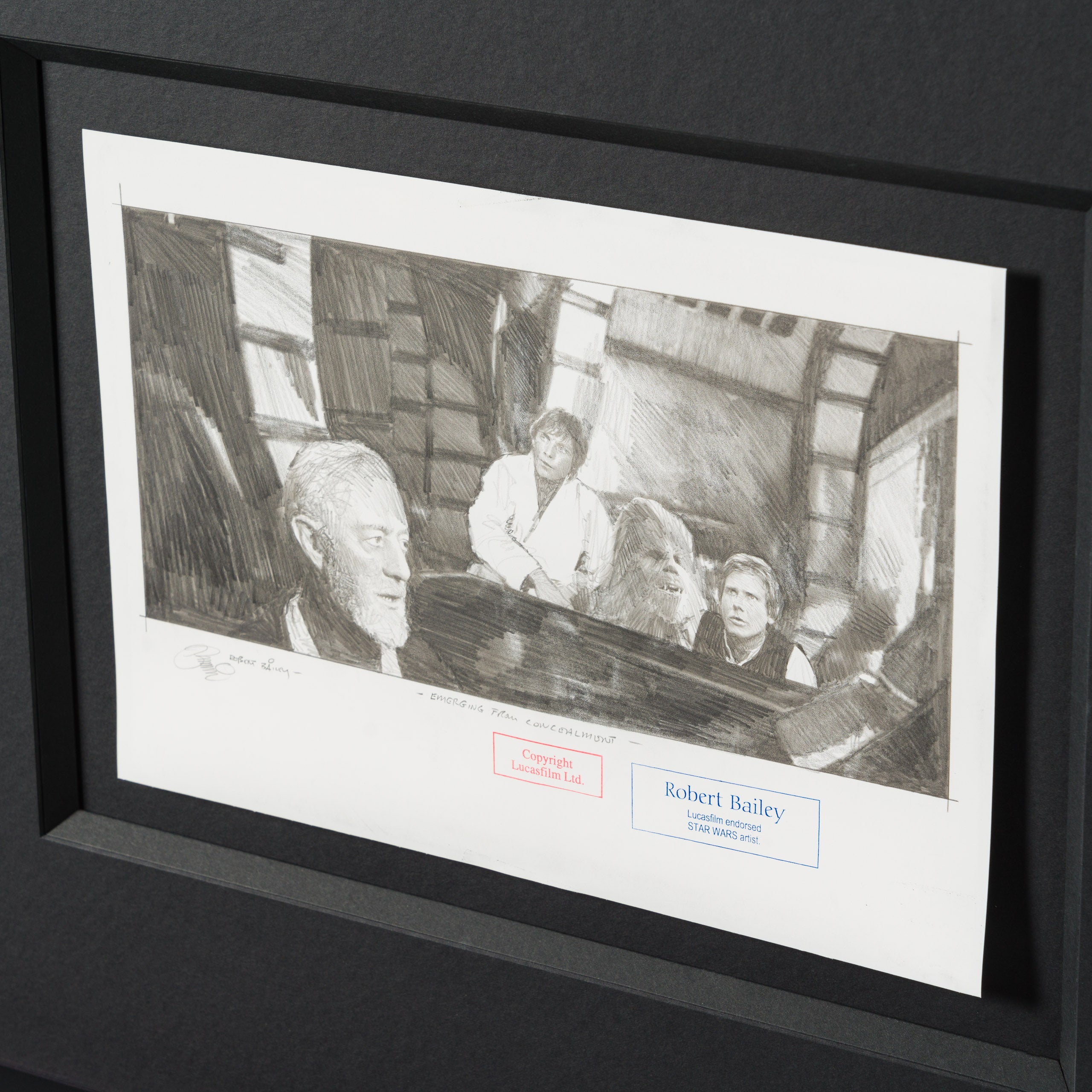 RBA ORI SKT 34941 Emerging From Concealment 4 