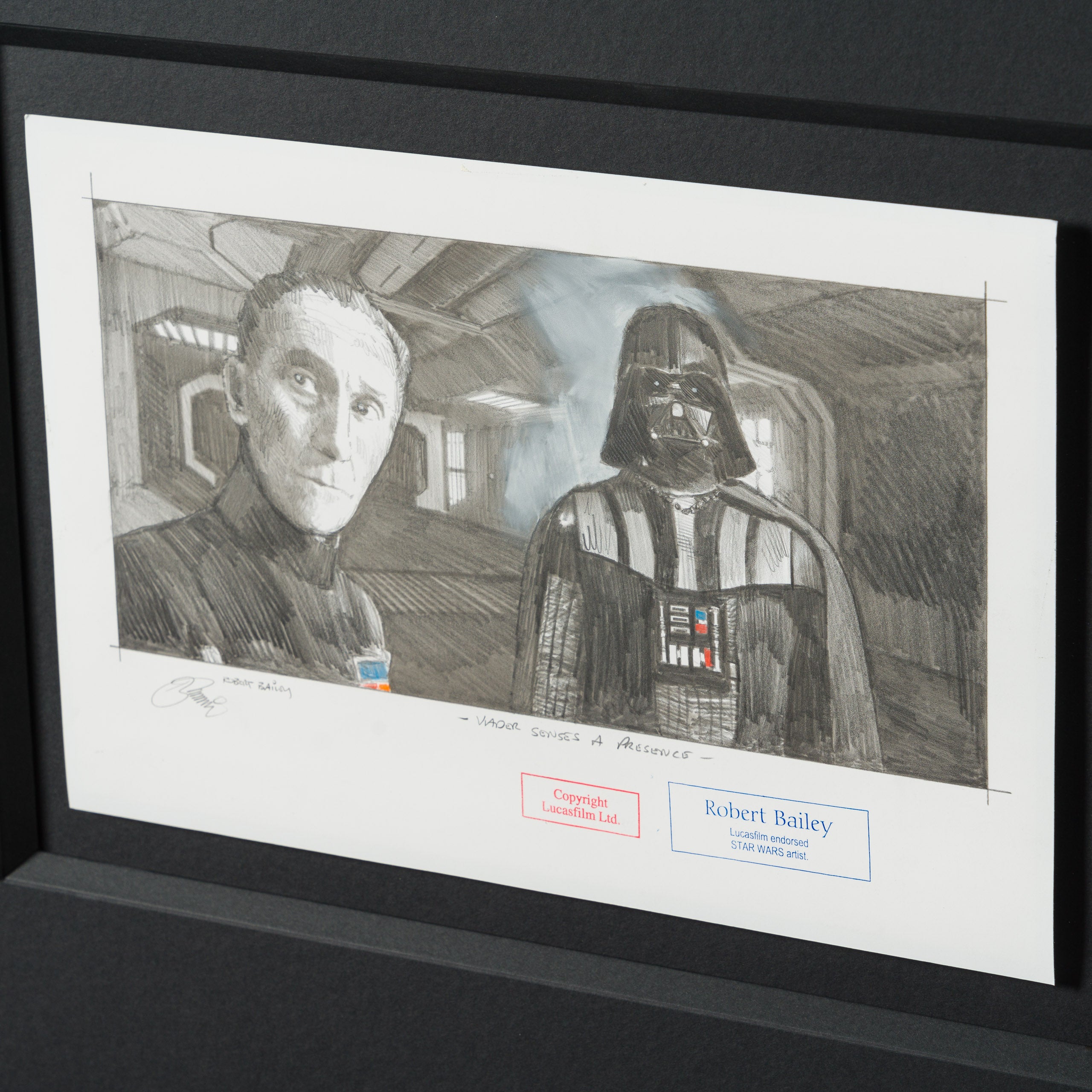Product image 3 for robert-bailey-vader-senses-a-presence
