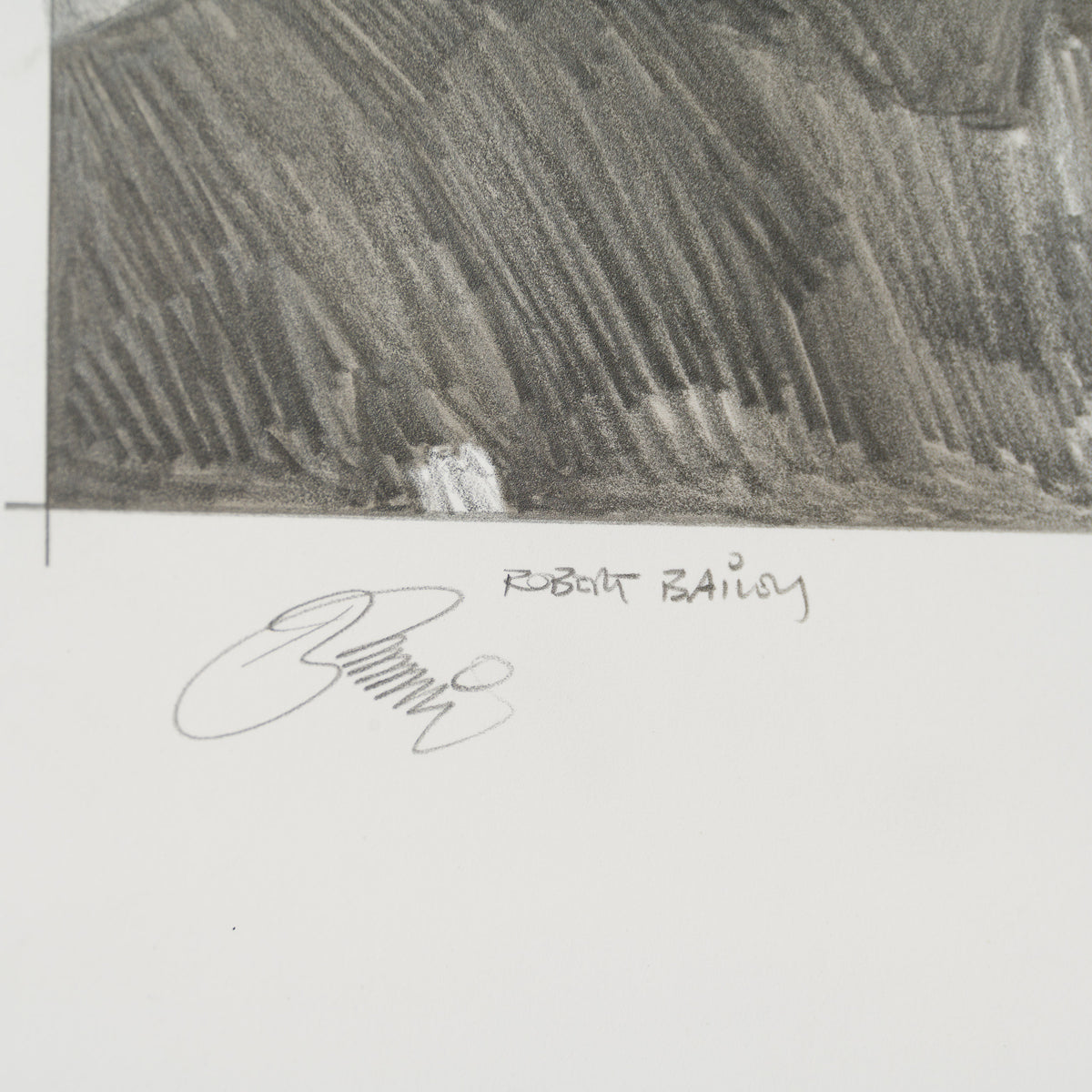 Product image 1 for robert-bailey-vader-senses-a-presence