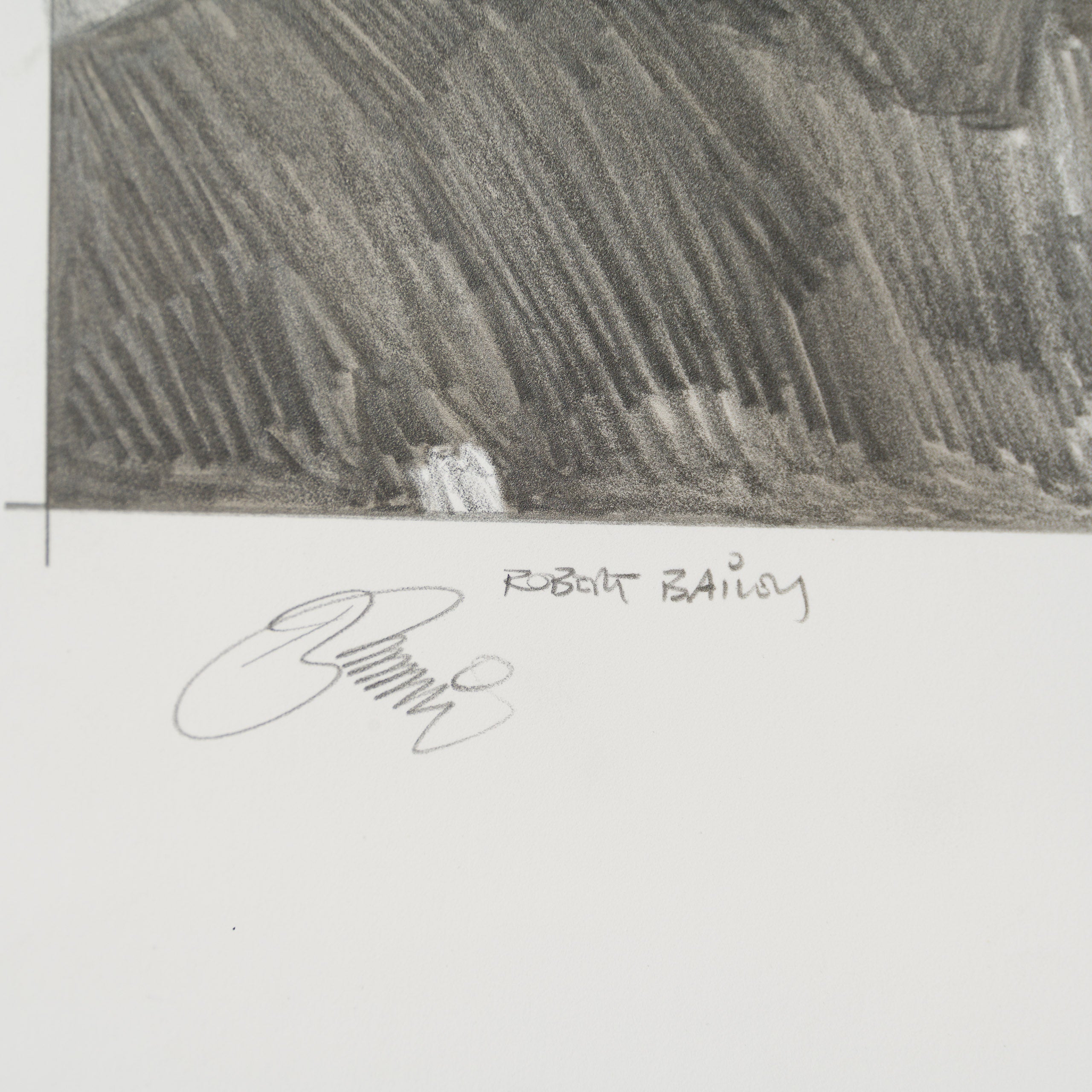 Product image 1 for robert-bailey-vader-senses-a-presence