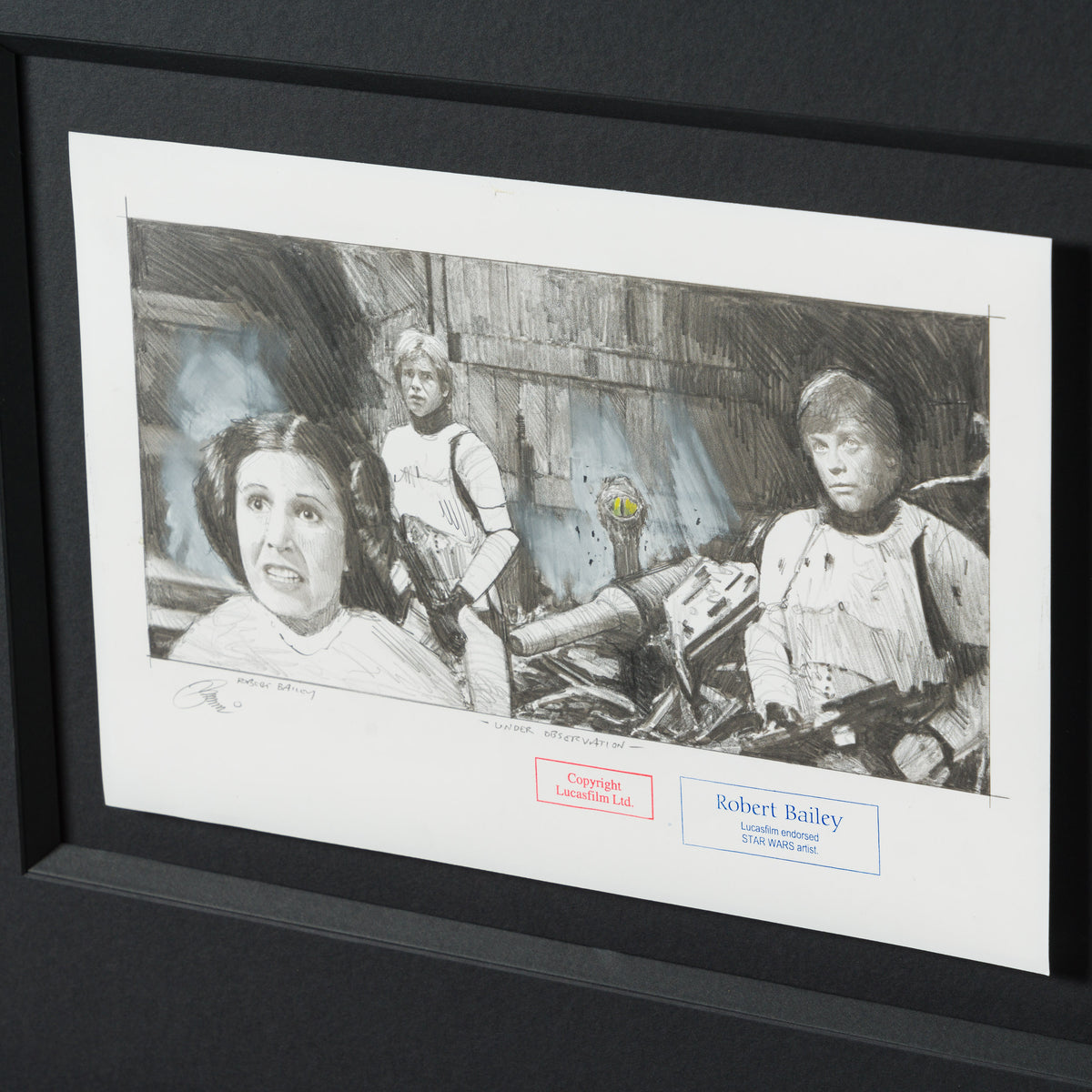 RBA ORI SKT 35005 Under Observation 3 