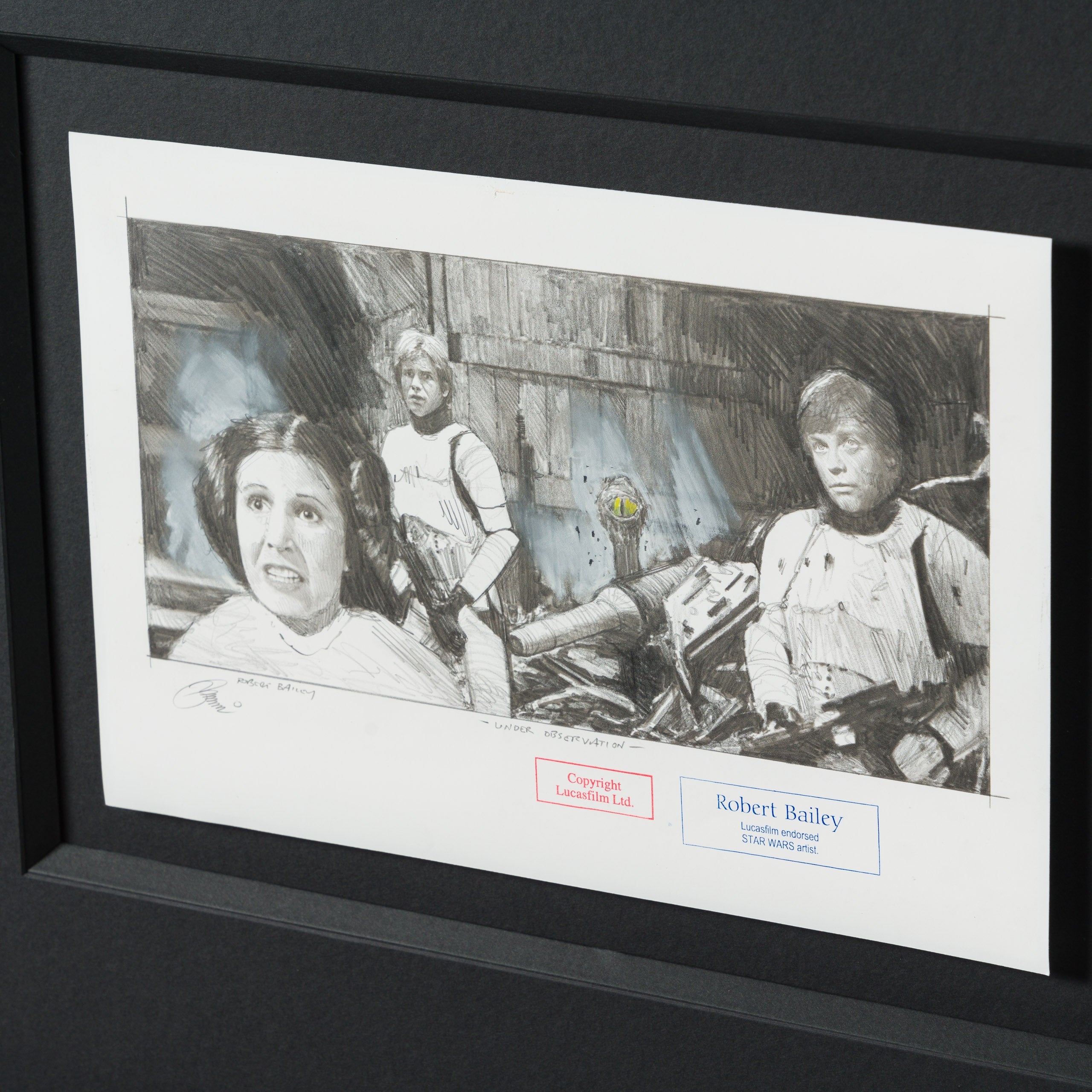 Product image 3 for robert-bailey-under-observation