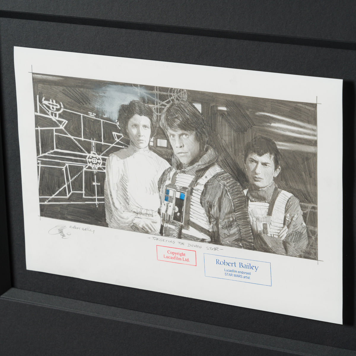 Product image 3 for robert-bailey-targeting-the-death-star