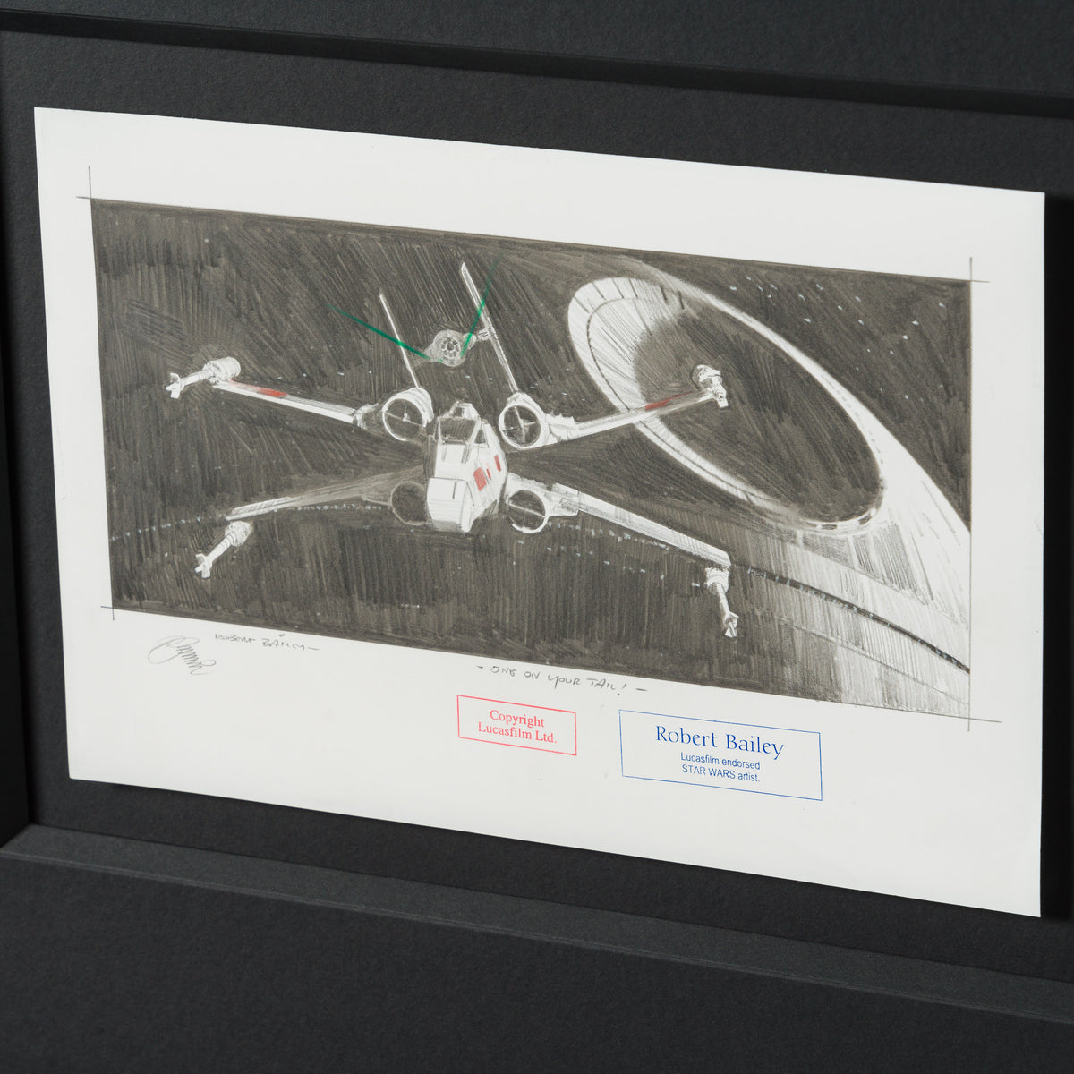 RBA ORI SKT 35349 One On Your Tail 4 