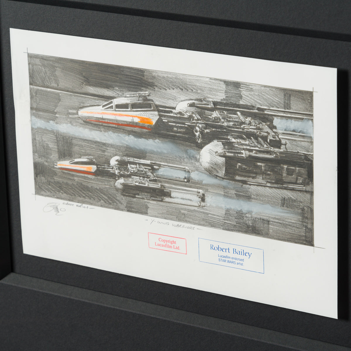 Product image 3 for robert-bailey-y-wing-warriors