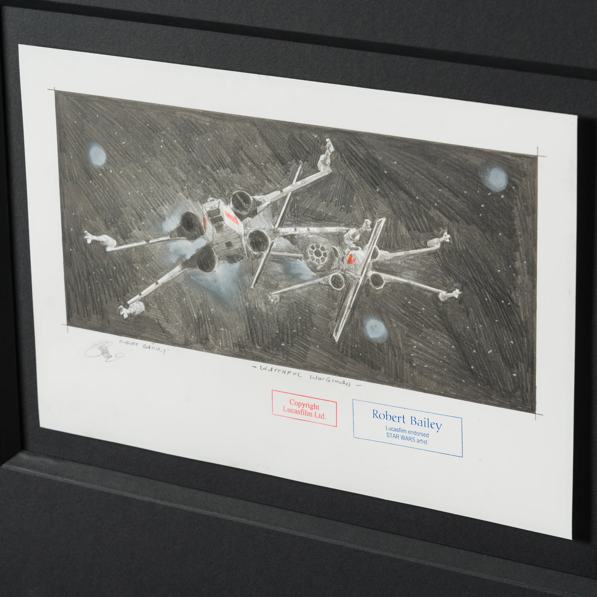 Product image 3 for robert-bailey-watchful-wingman