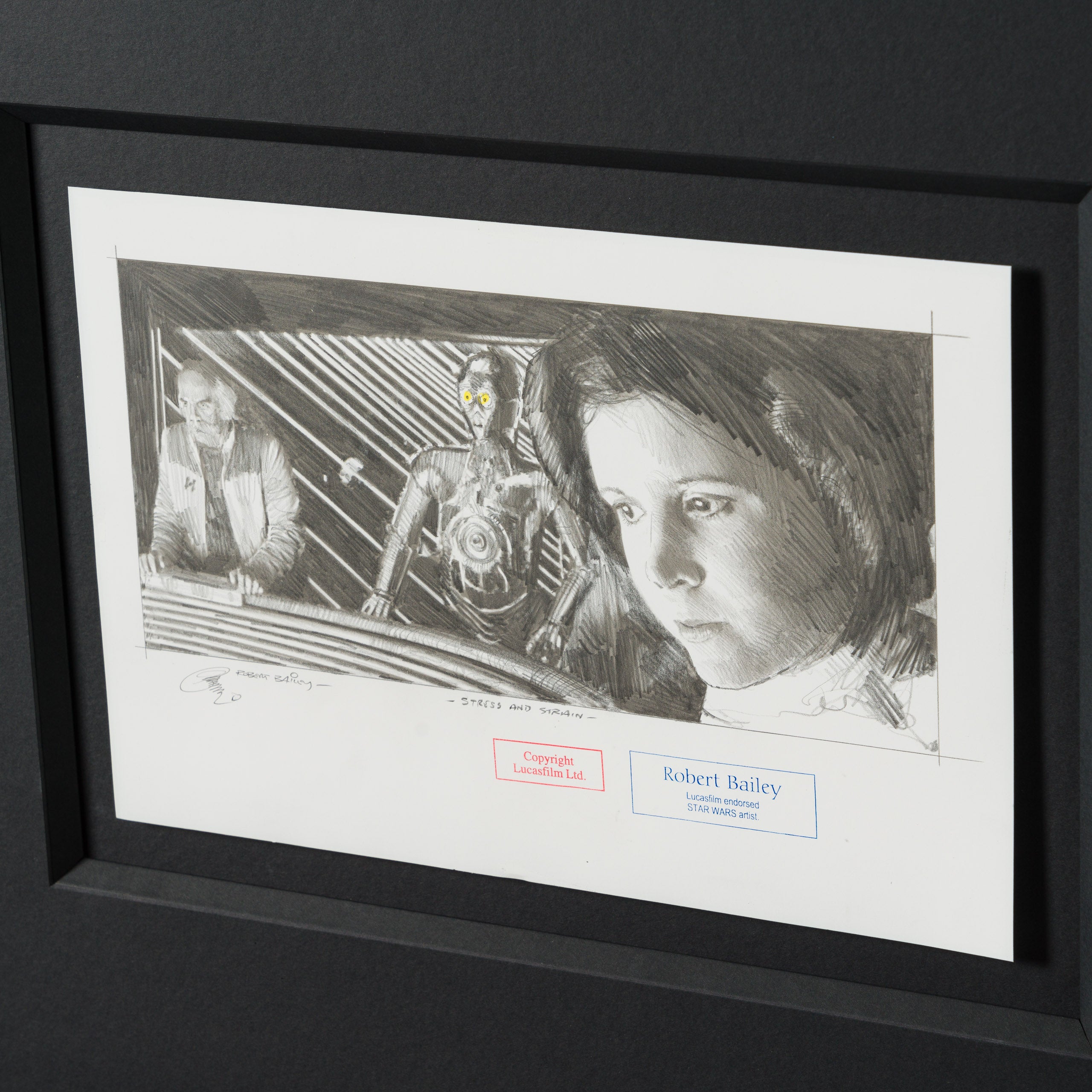 Product image 3 for robert-bailey-stress-and-strain