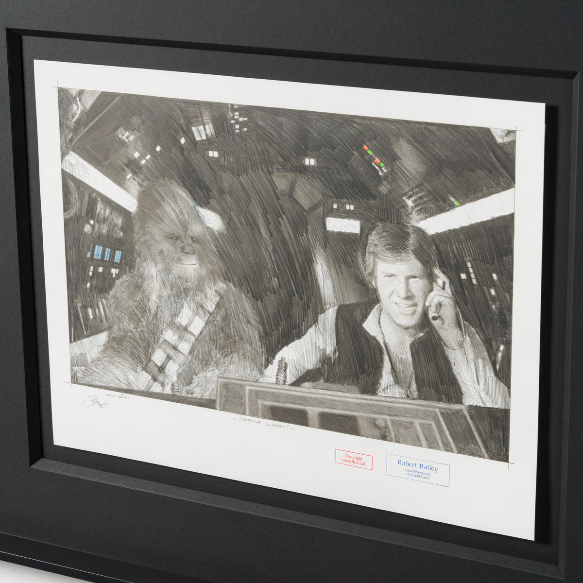 Product image 3 for robert-bailey-surprise-support