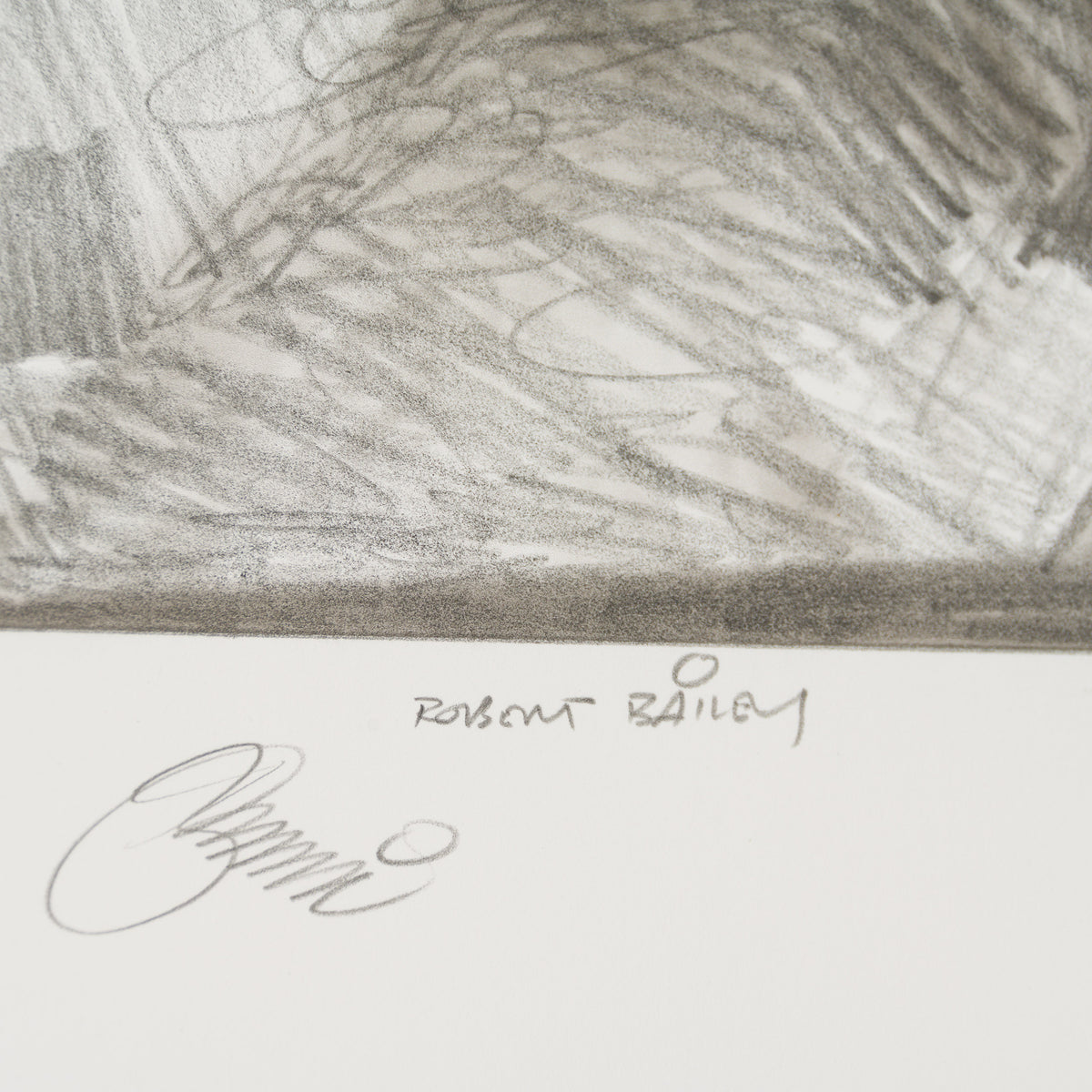 Product image 1 for robert-bailey-surprise-support