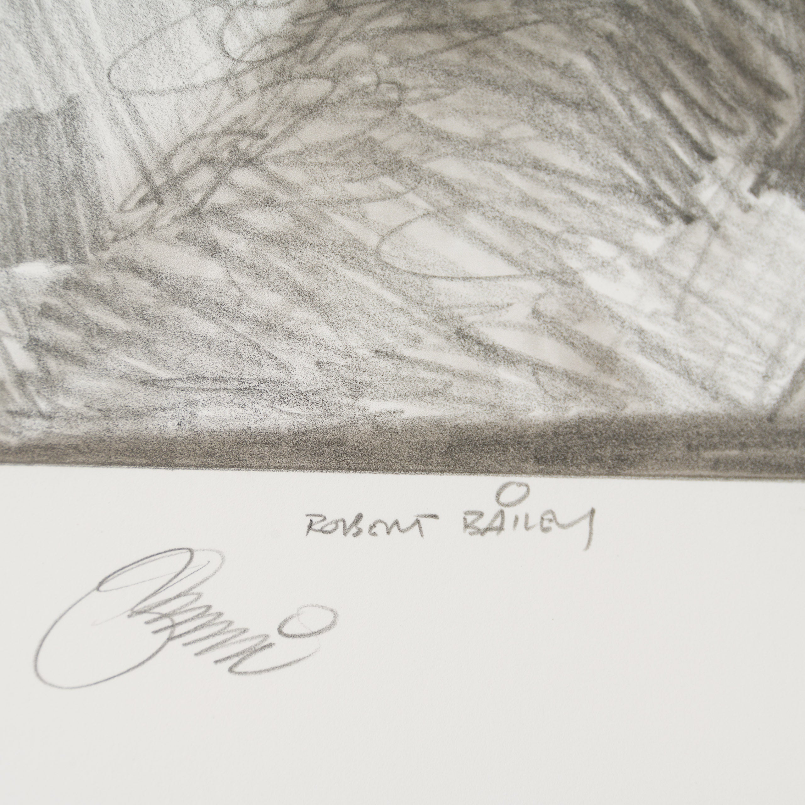 Product image 1 for robert-bailey-surprise-support