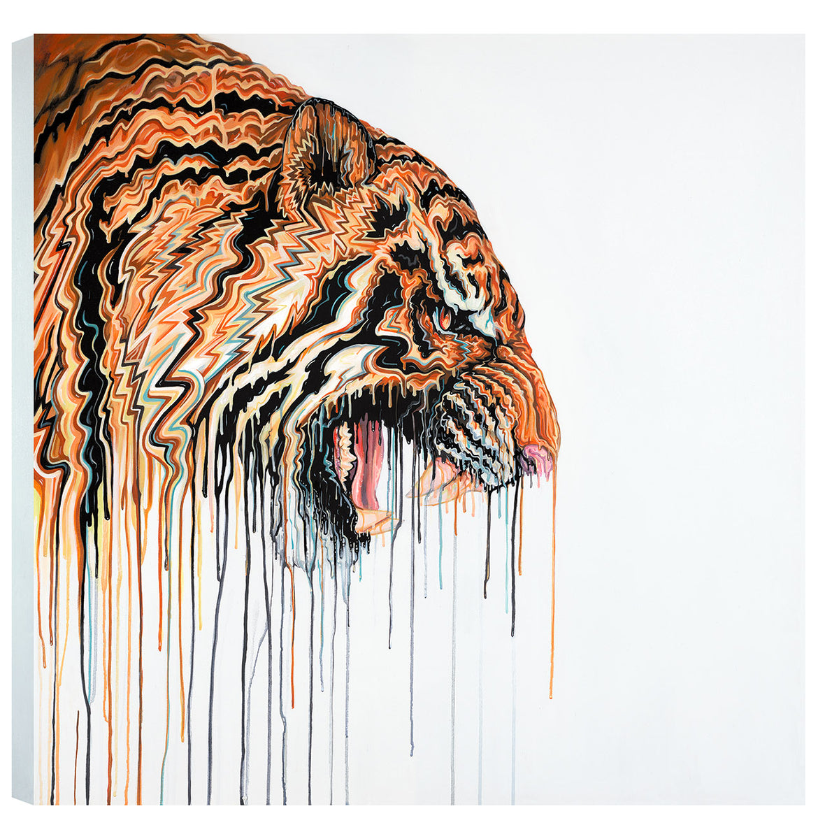 Robert Oxley ranthambore II