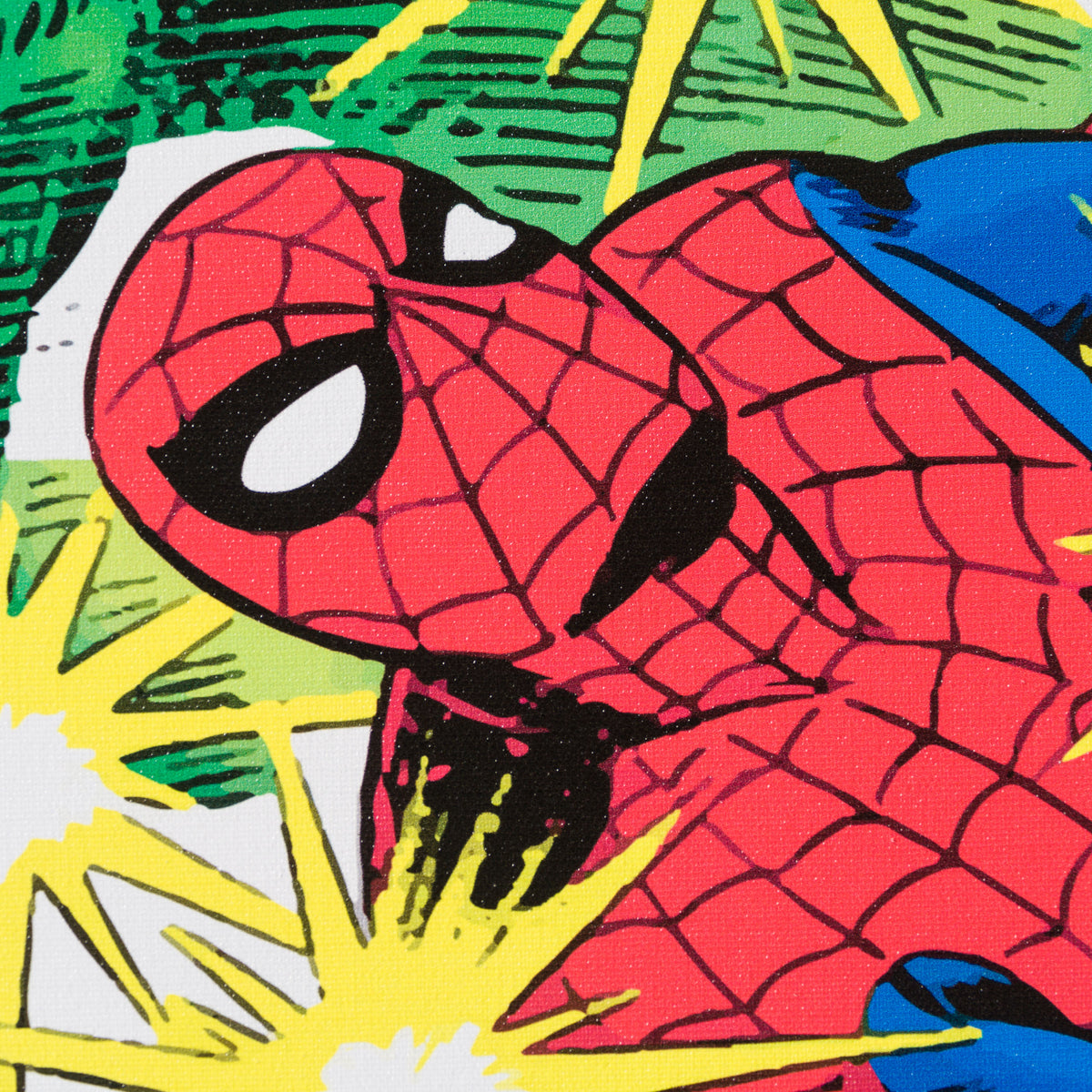 ROM Amazing Spider Man #71 5 