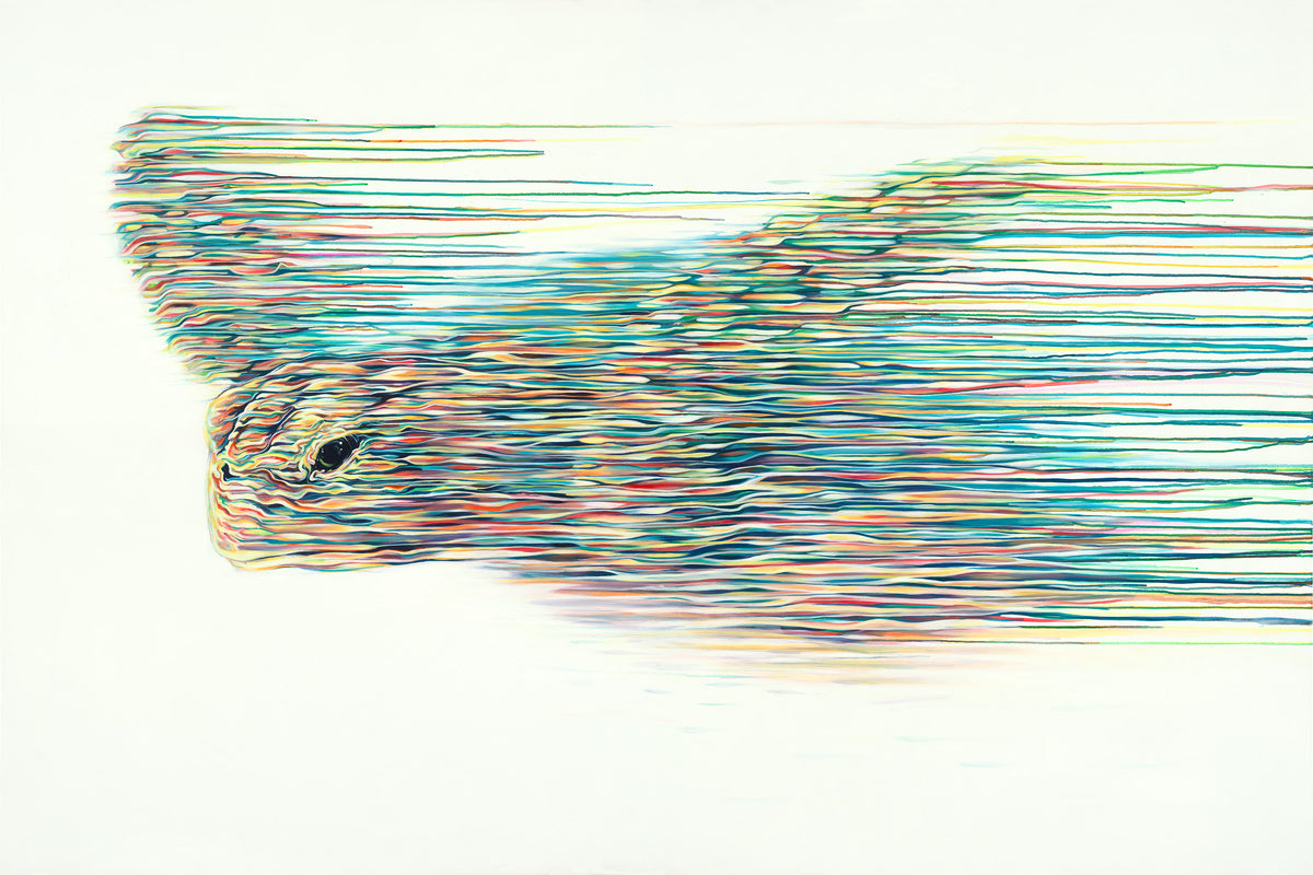 ROX The Navigator Boutique