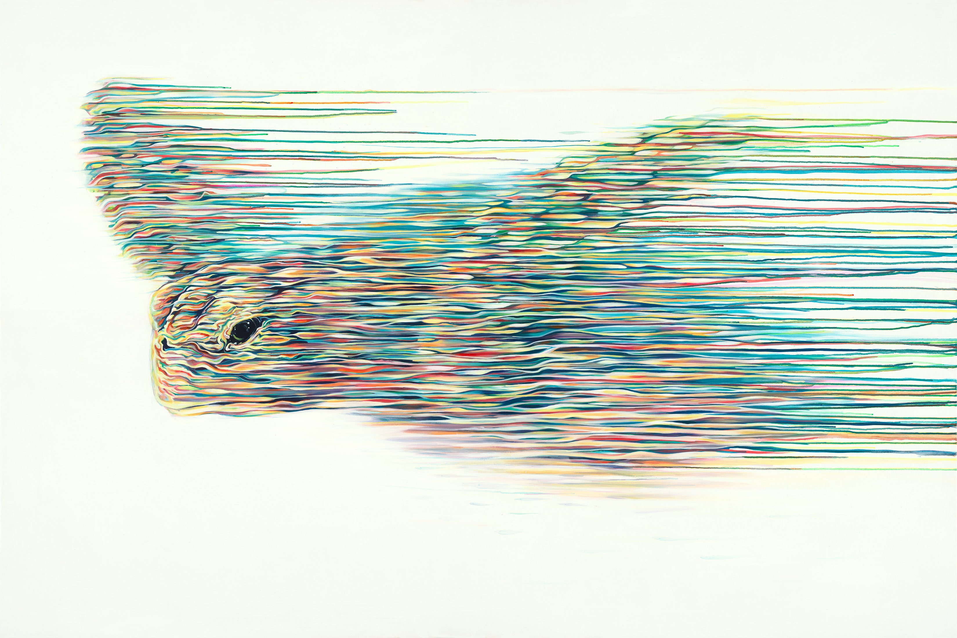 ROX The Navigator Boutique