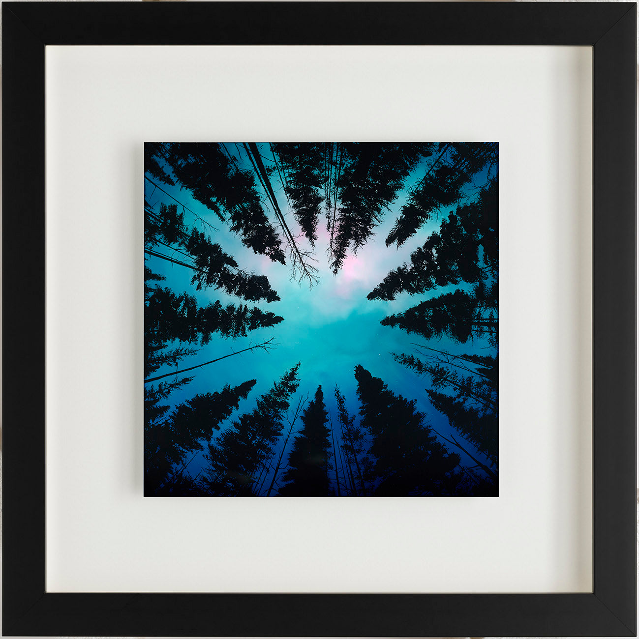 RRO above the trees fr