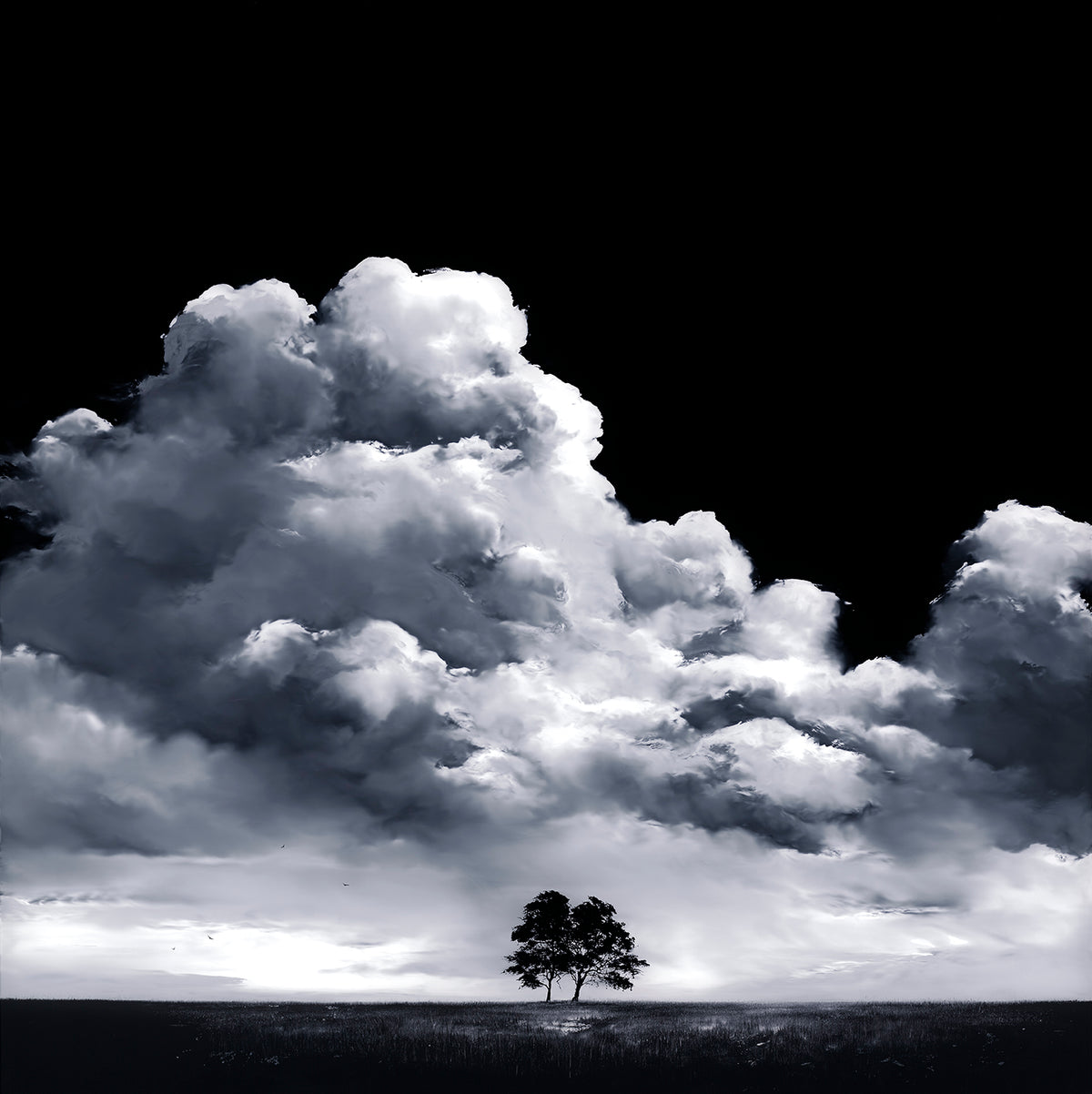 RRO Breathe In, Breathe Out 