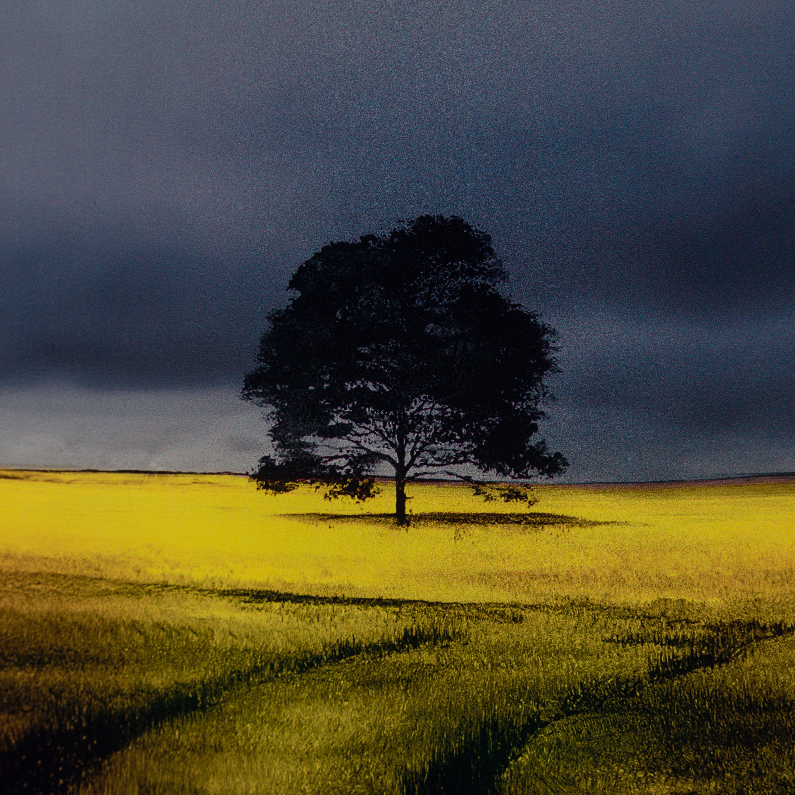 Product image 3 for richard-rowan-call-of-the-wild