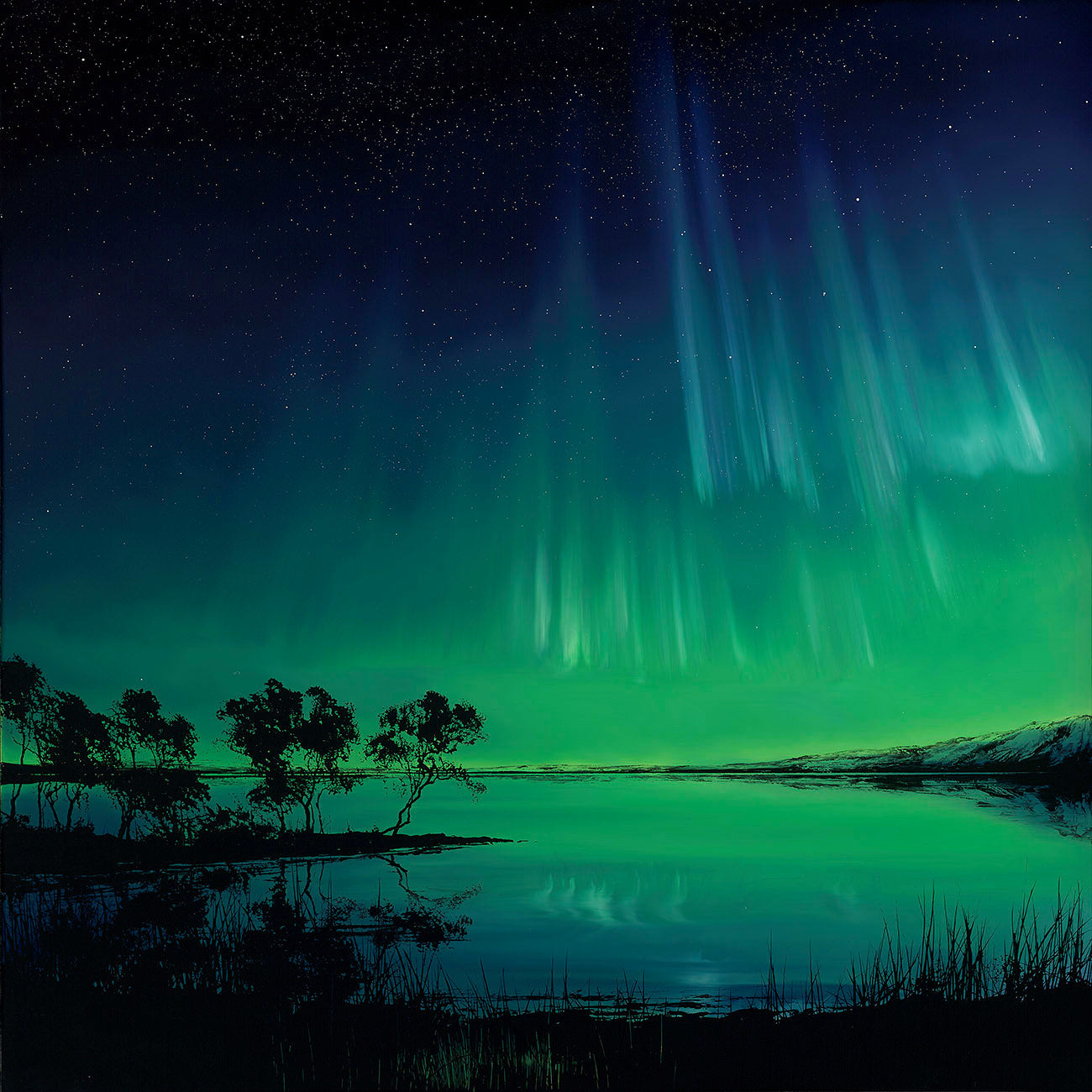 RRO Light Dancing NC RGB LR