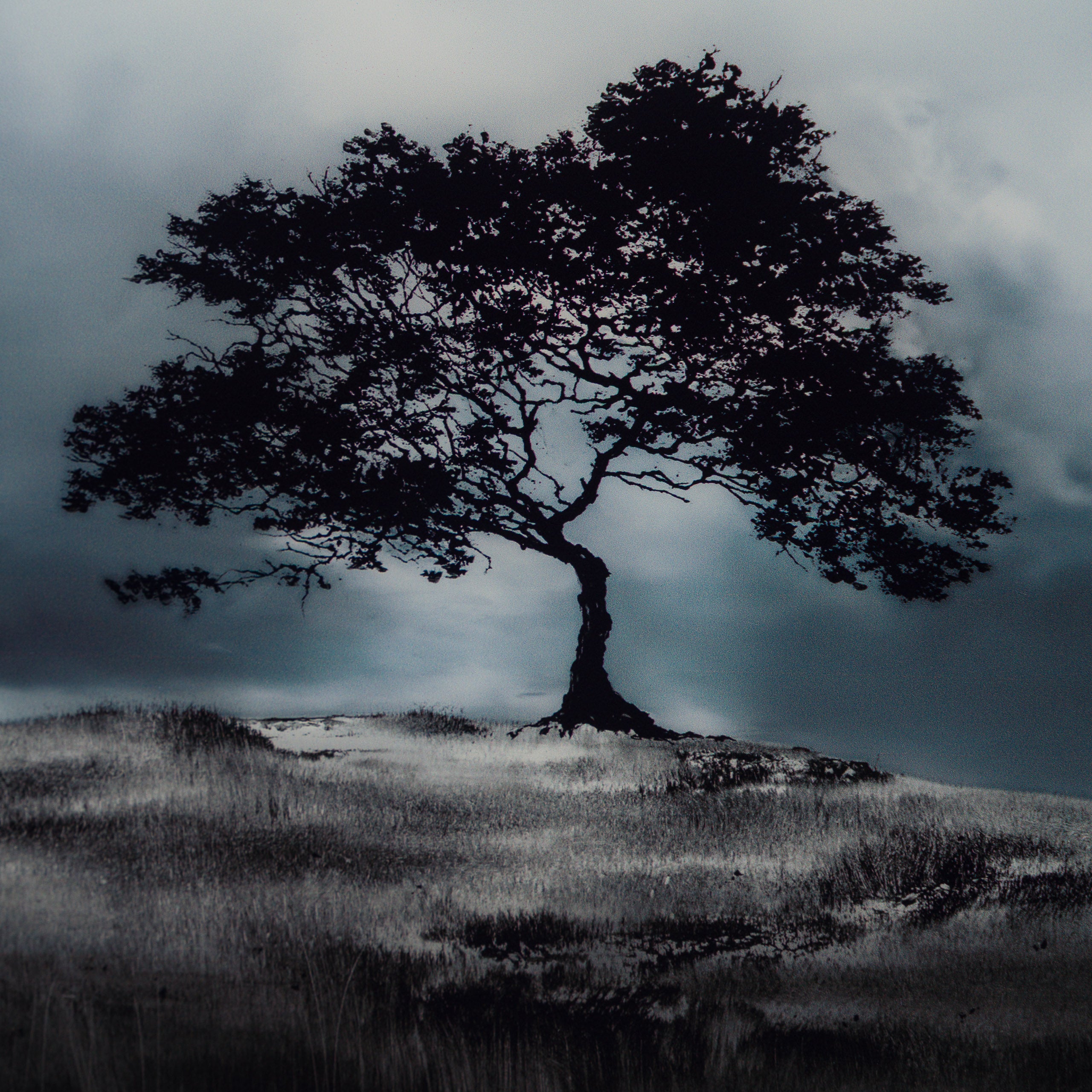 Spring 2025 | Framed Set of Three