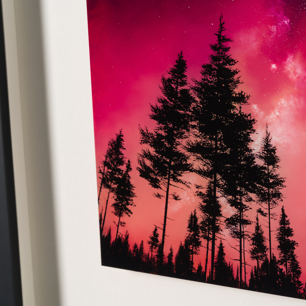 RRO ORI LAN 29885 6 Silent Awakening 