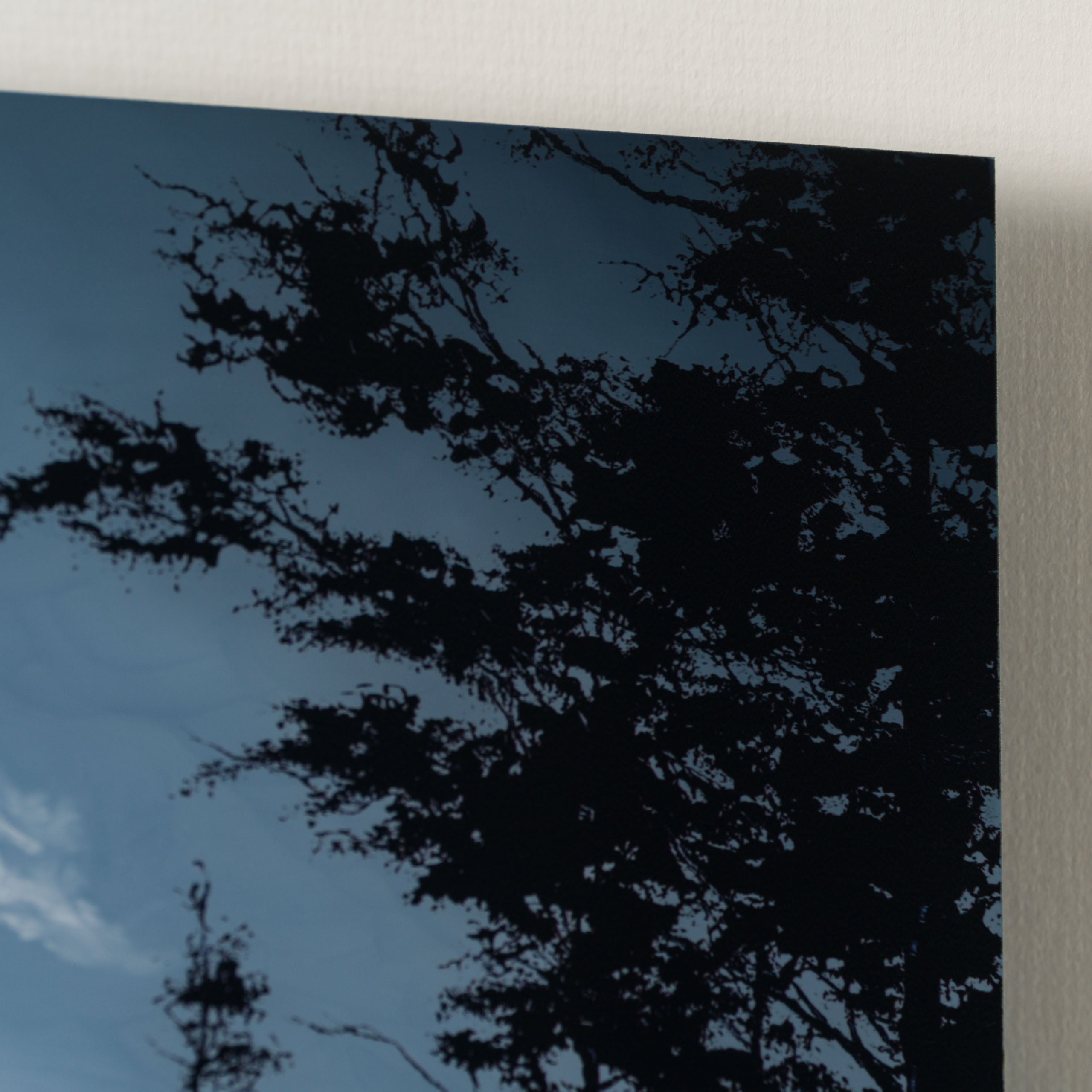 RRO ORI LAN 31714 Forever More XX 4 