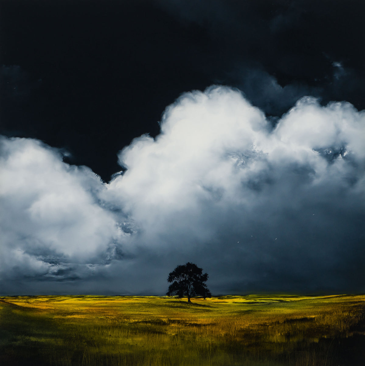 RRO ORI LAN 32559 Finding Home 31 