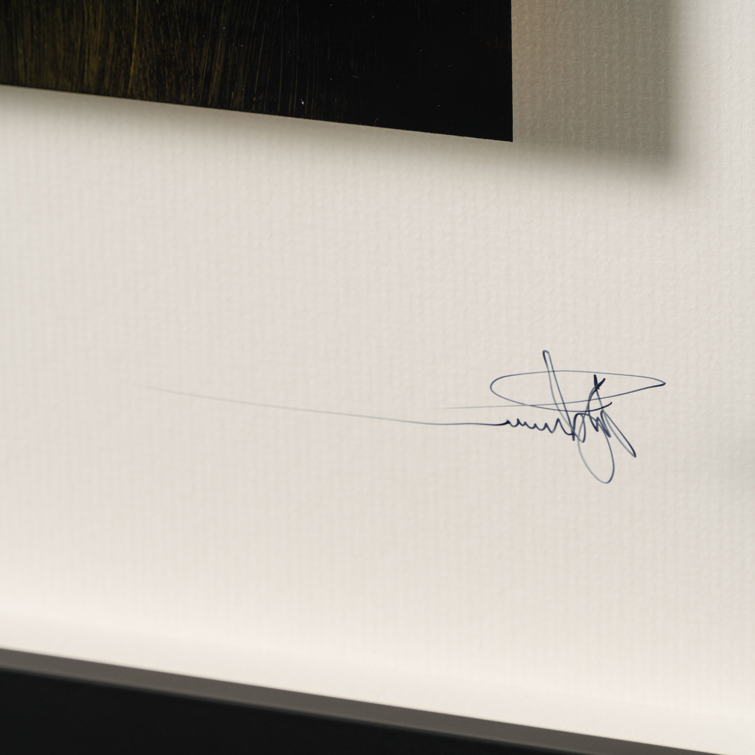 RRO ORI LAN 32559 Finding Home 3 