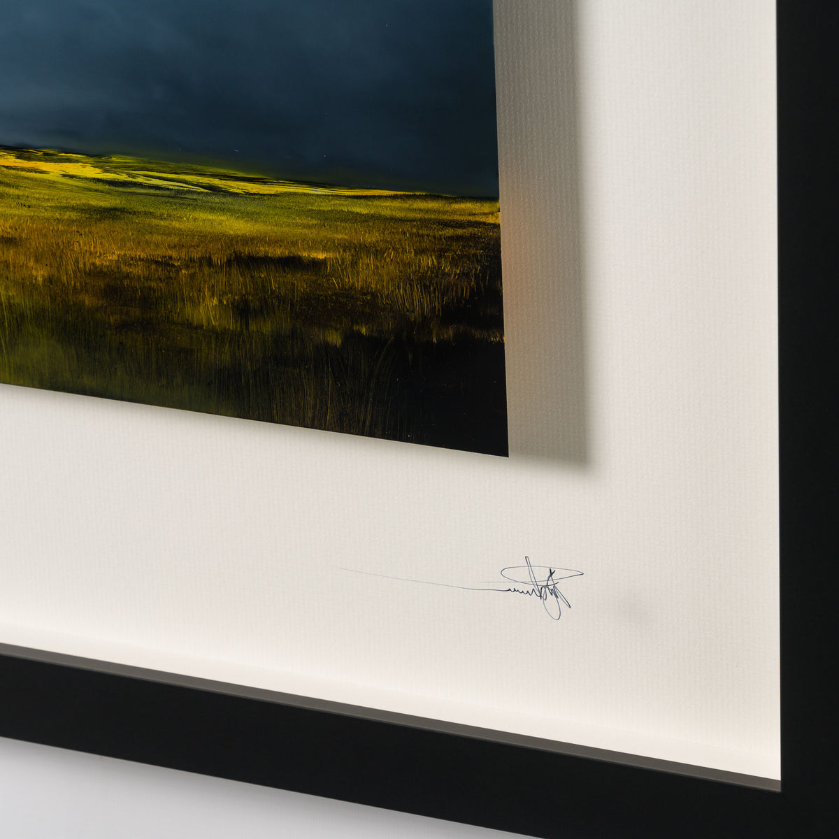 RRO ORI LAN 32559 Finding Home 5 