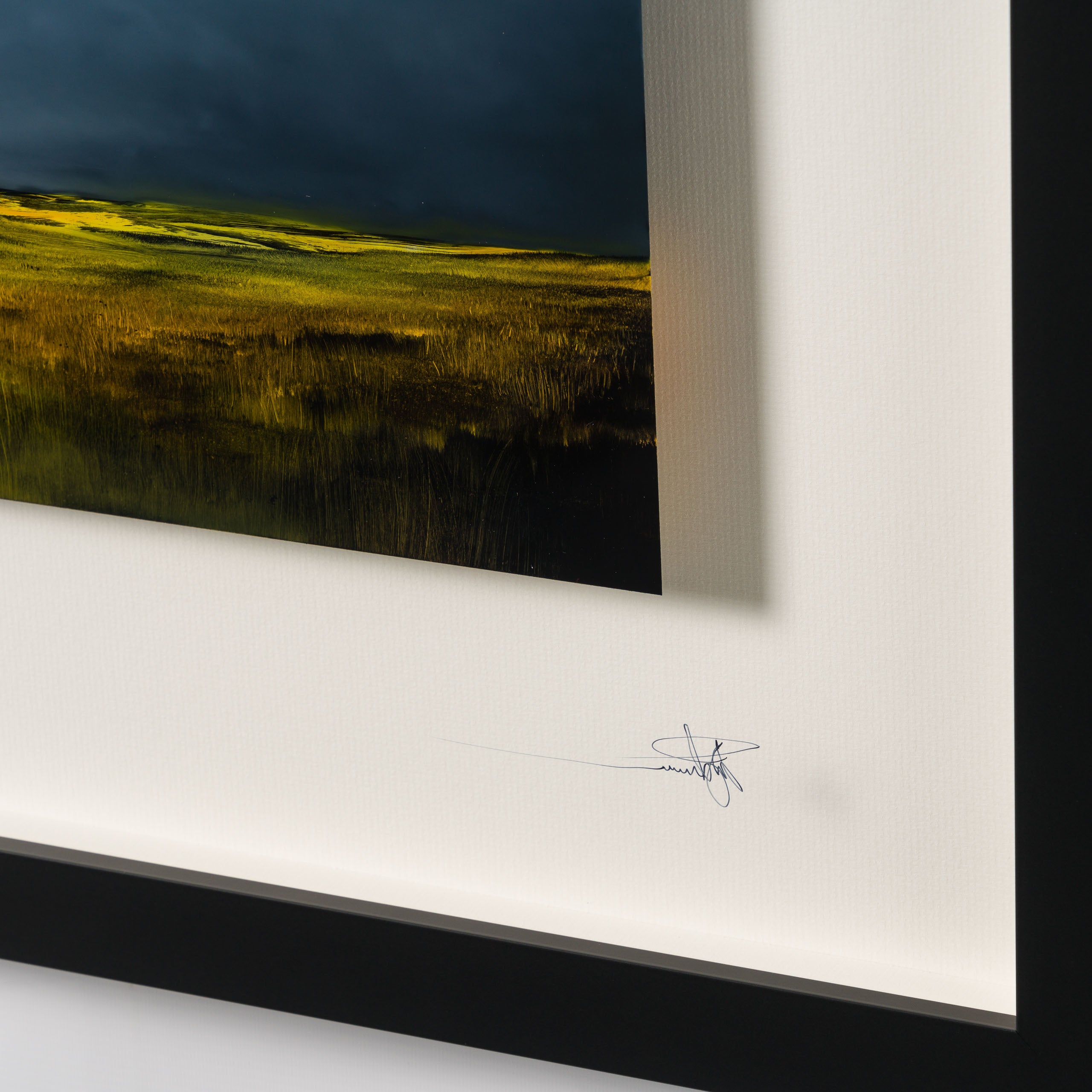 RRO ORI LAN 32559 Finding Home 5 