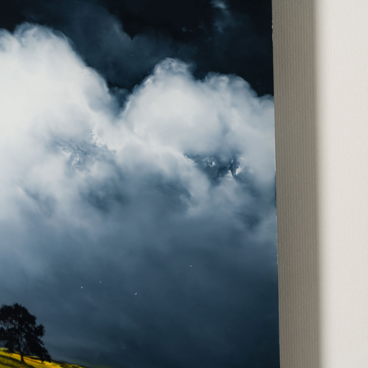 RRO ORI LAN 32559 Finding Home 6 