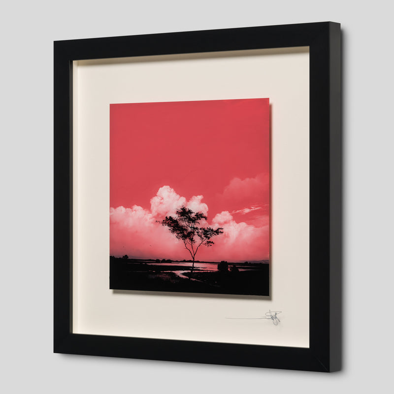 RRO ORI LAN 34644 Journey Beyond Original 2 