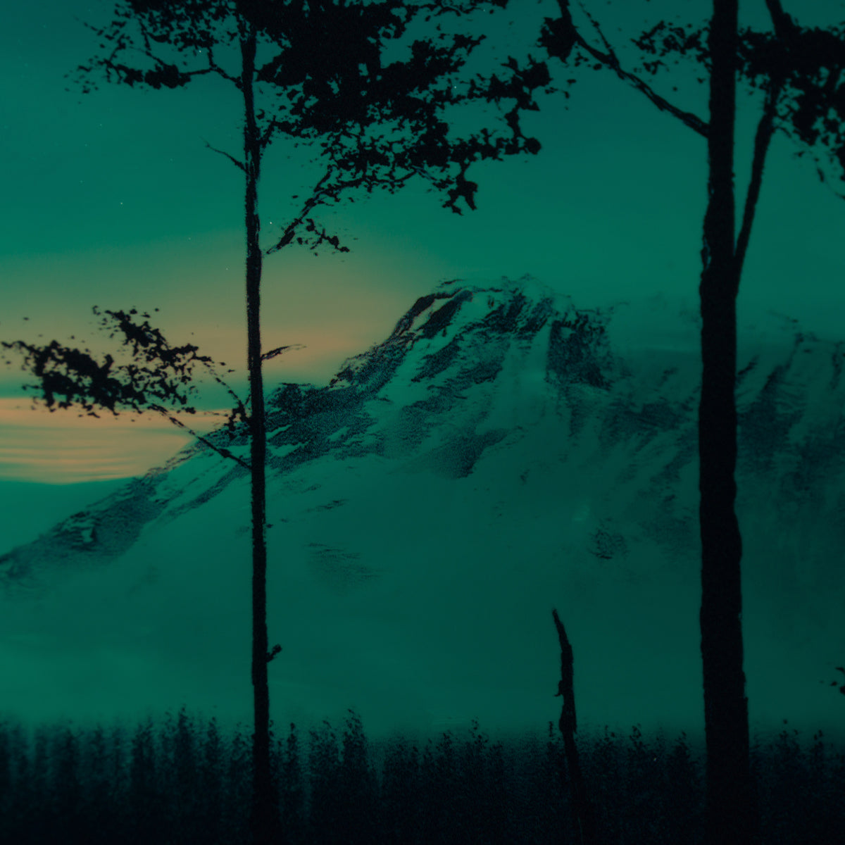 RRO ORI UNI 29781 7 Forever More IV 