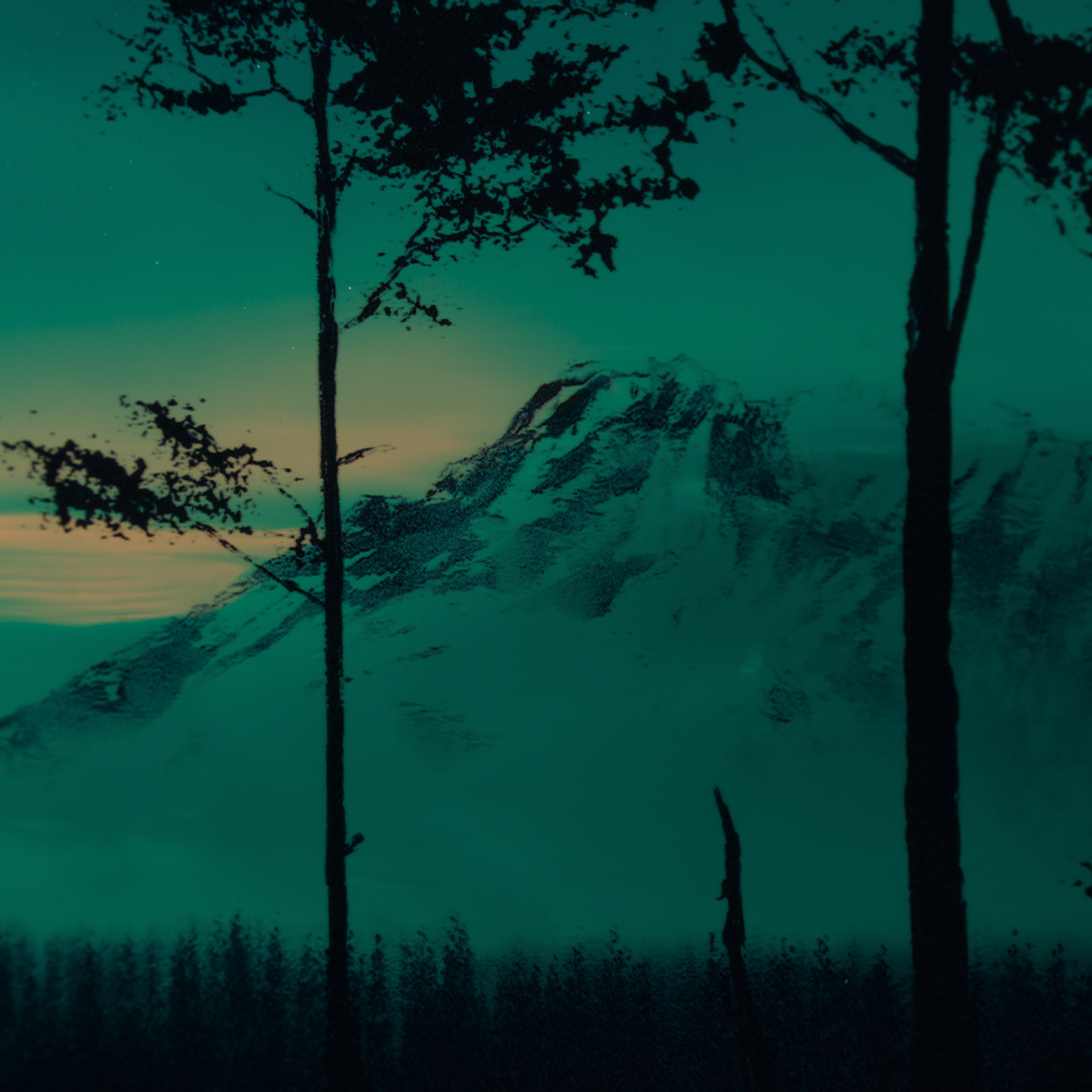 RRO ORI UNI 29781 7 Forever More IV 