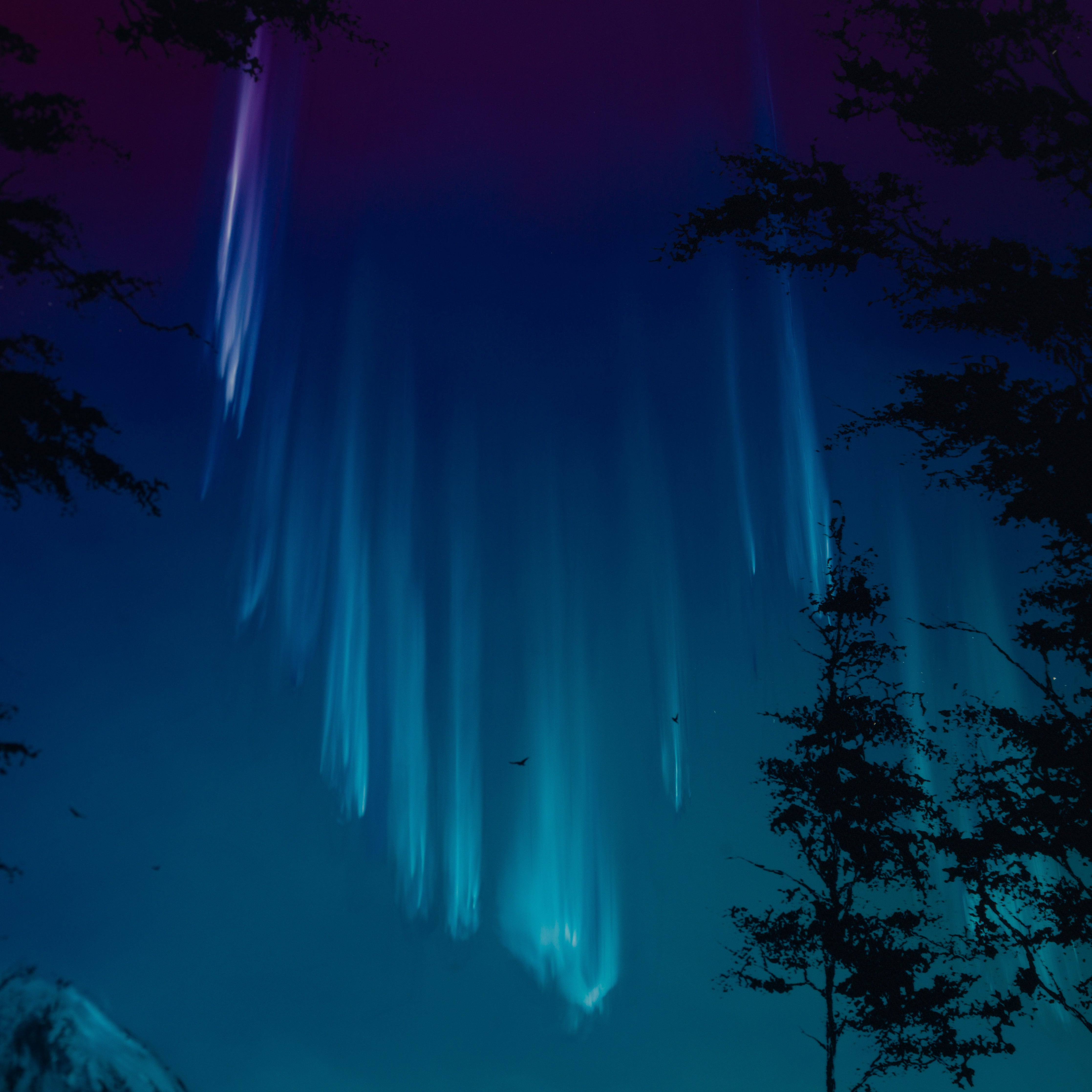 RRO ORI UNI 29782 6 Forever More V 