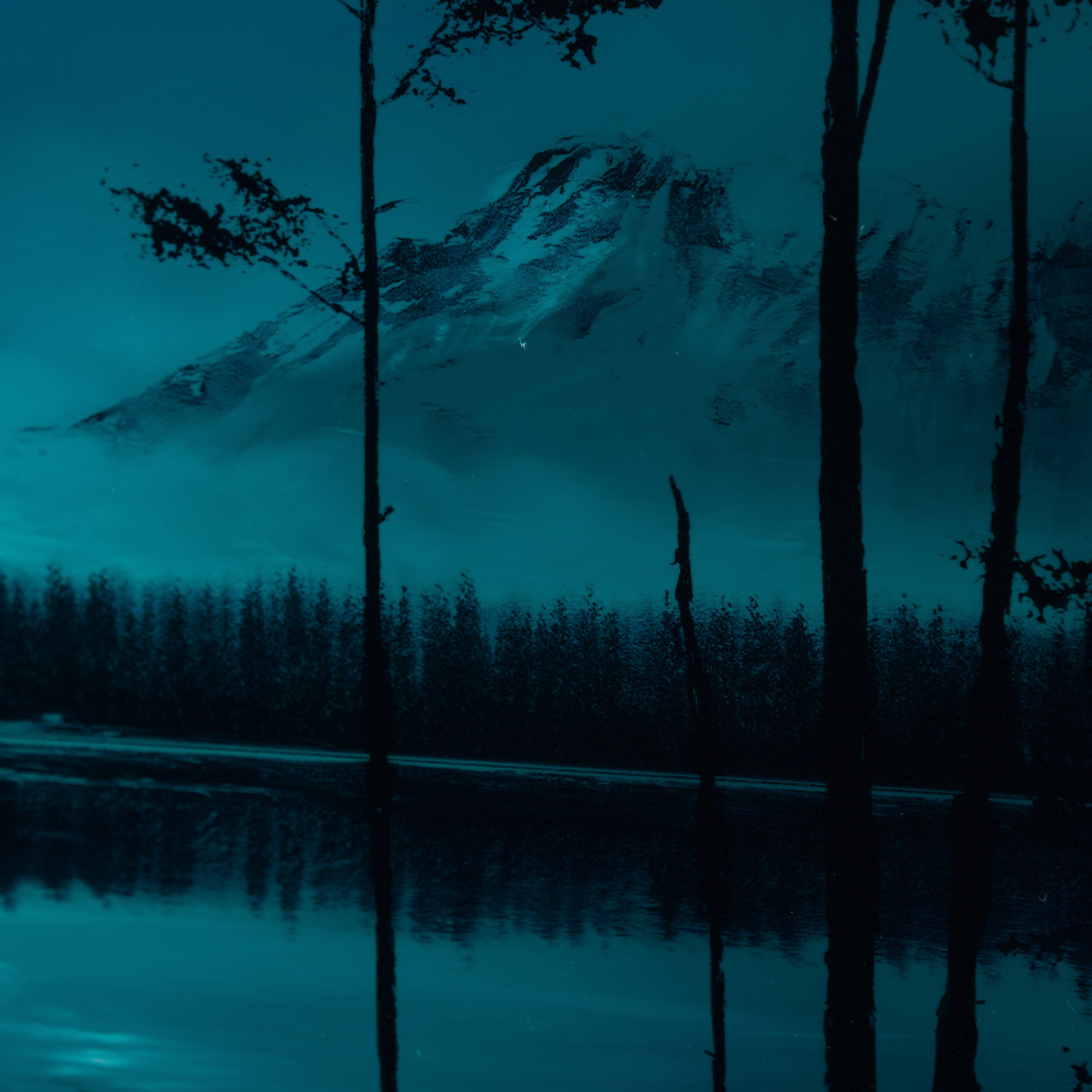 RRO ORI UNI 29782 7 Forever More V 