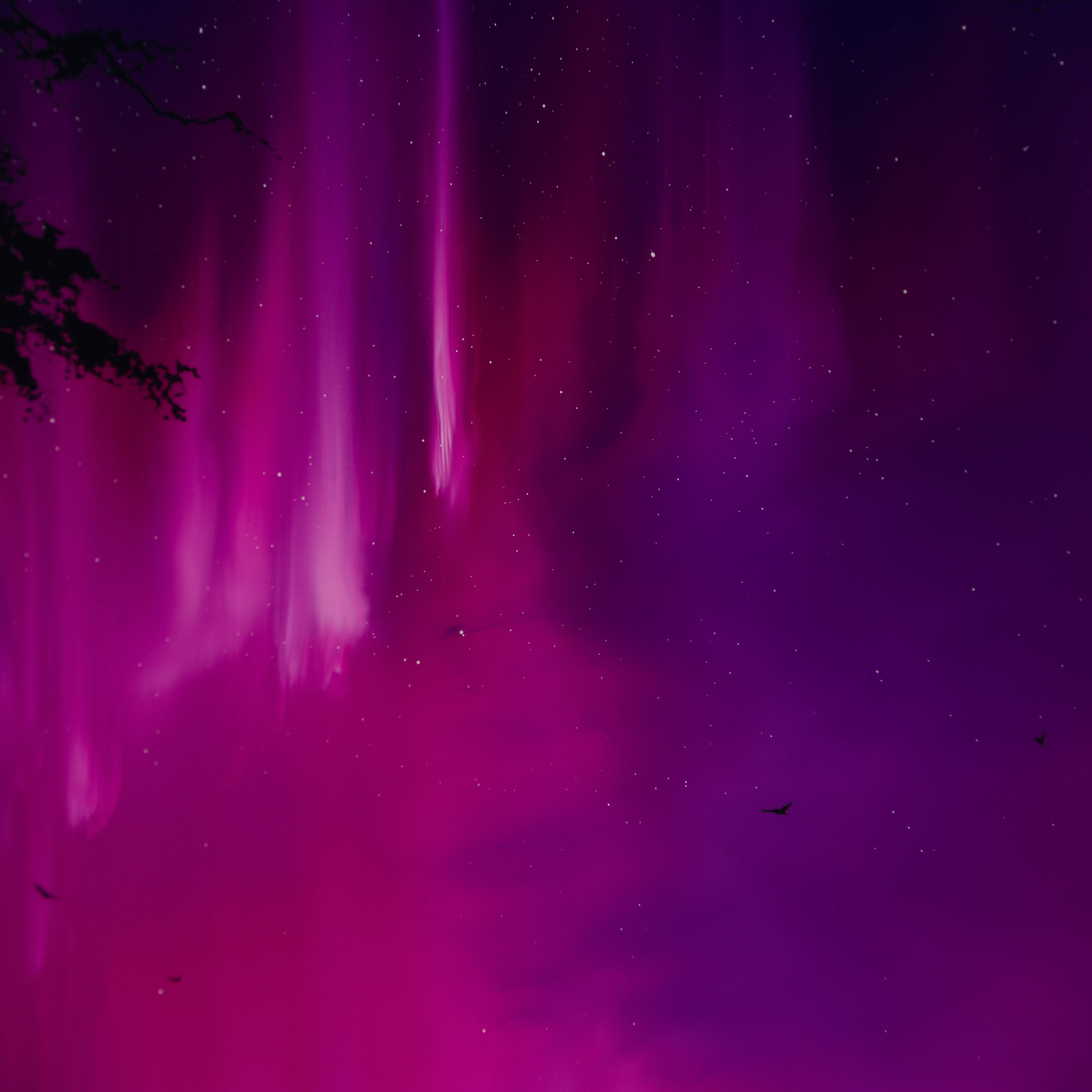 RRO ORI UNI 29783 7 Forever More VI 