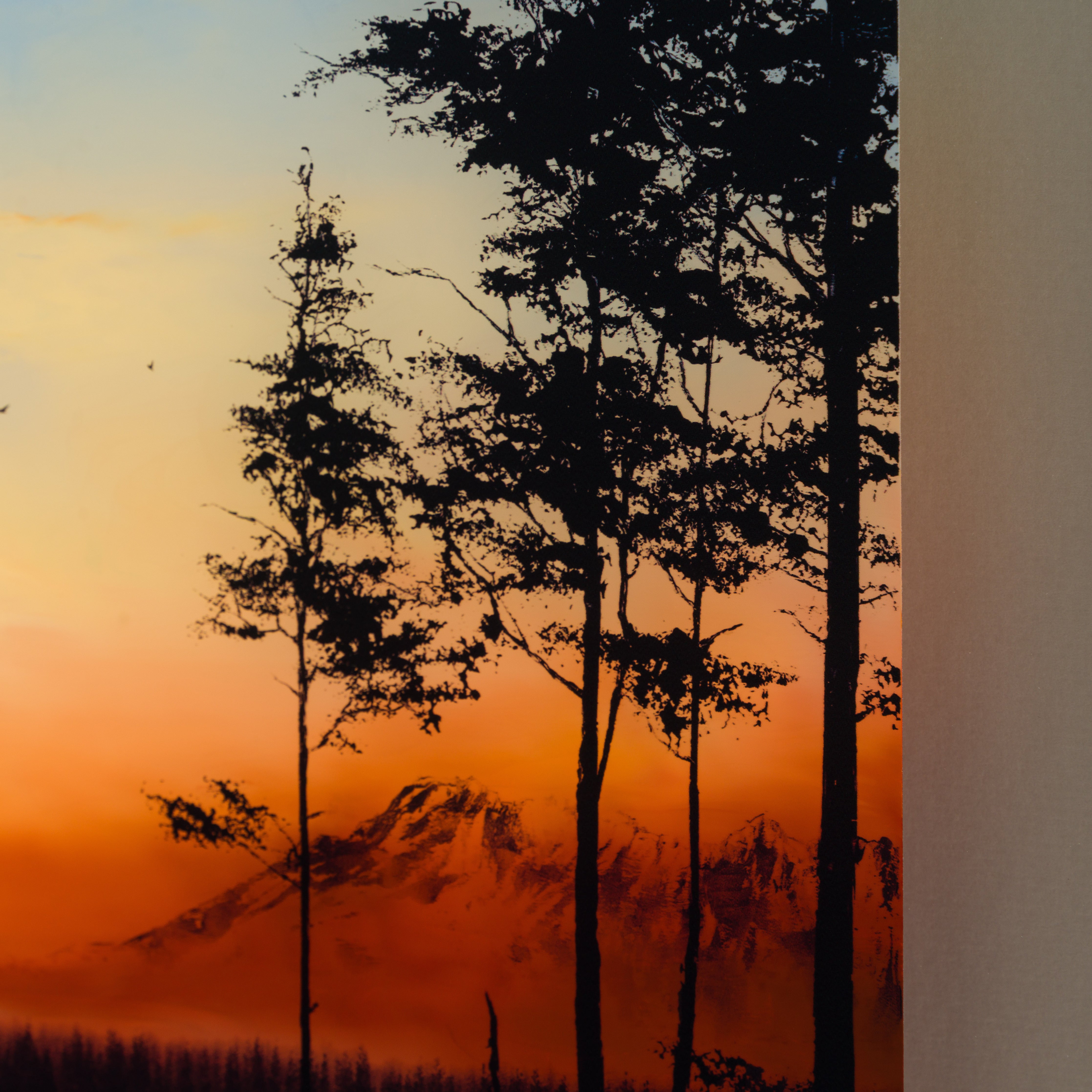 RRO ORI UNI 29784 4 Forever More VII 