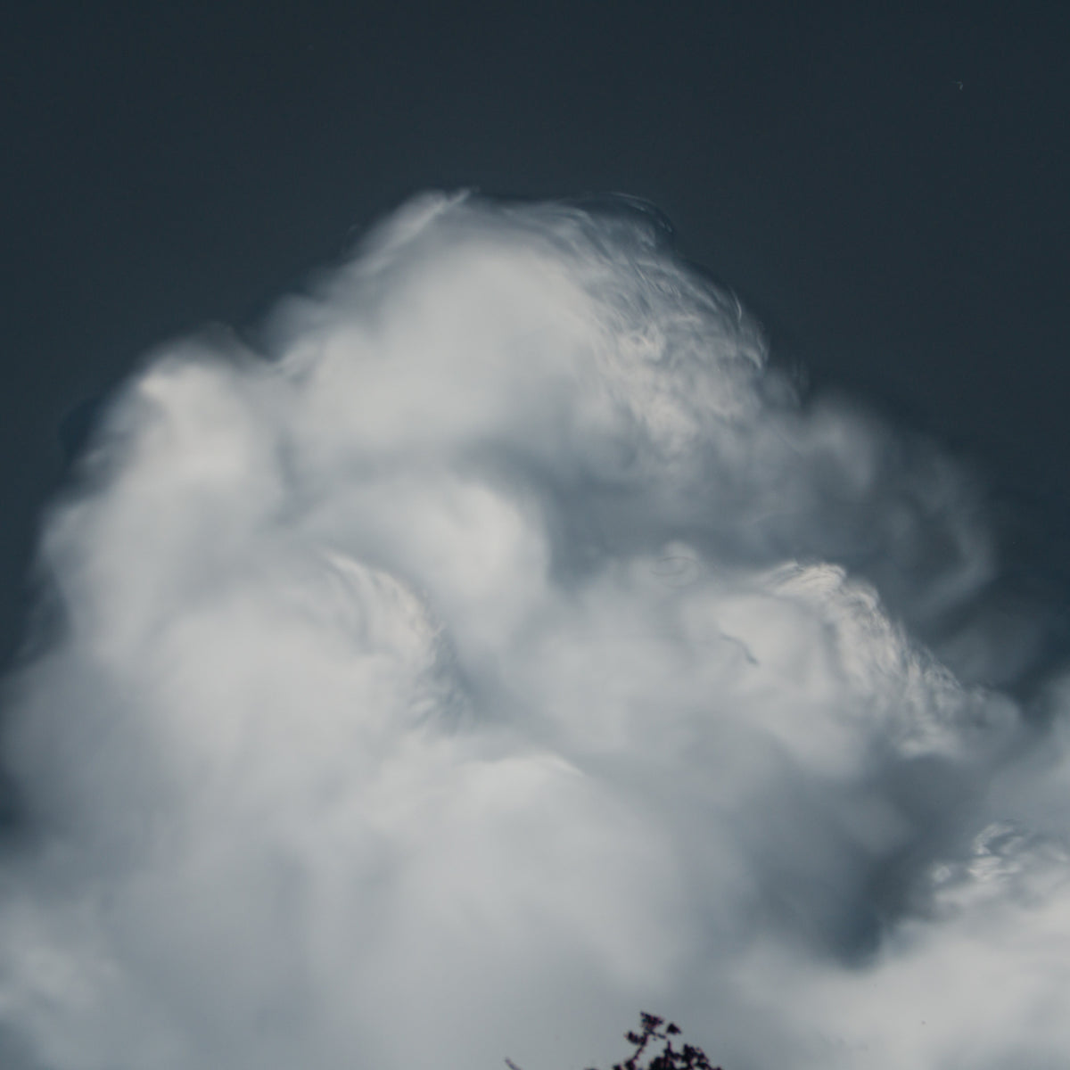 RRO ORI UNI 33983 Journey Beyond 2 5 