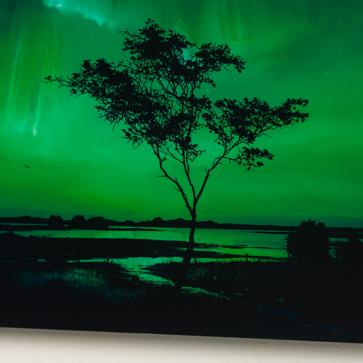 RRO ORI UNI 33984 Journey Beyond 3 6 