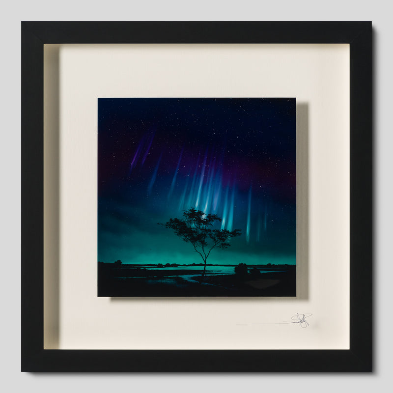 RRO ORI UNI 33987 Journey Beyond 6 1 