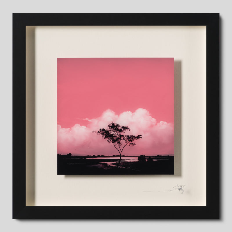 RRO ORI UNI 33990 Journey Beyond 9 1 