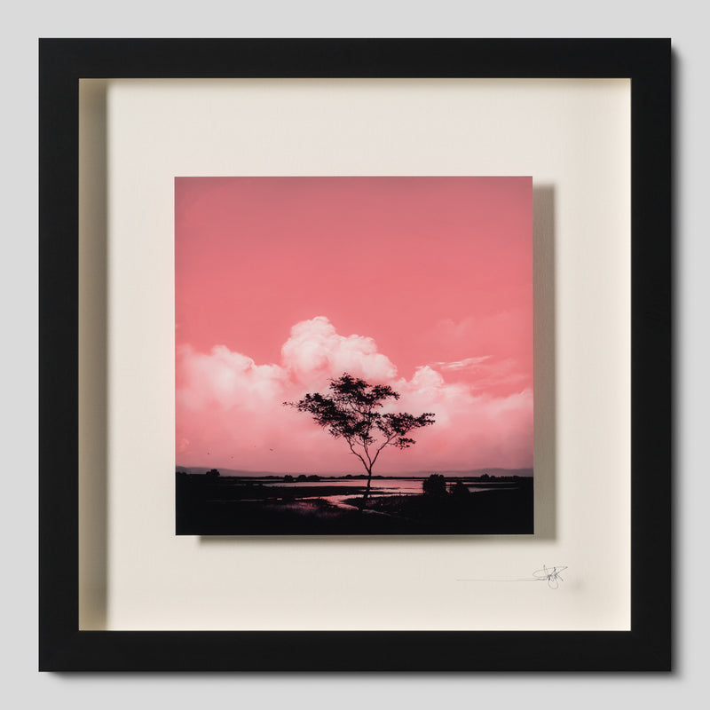 RRO ORI UNI 34003 Journey Beyond 22 1 