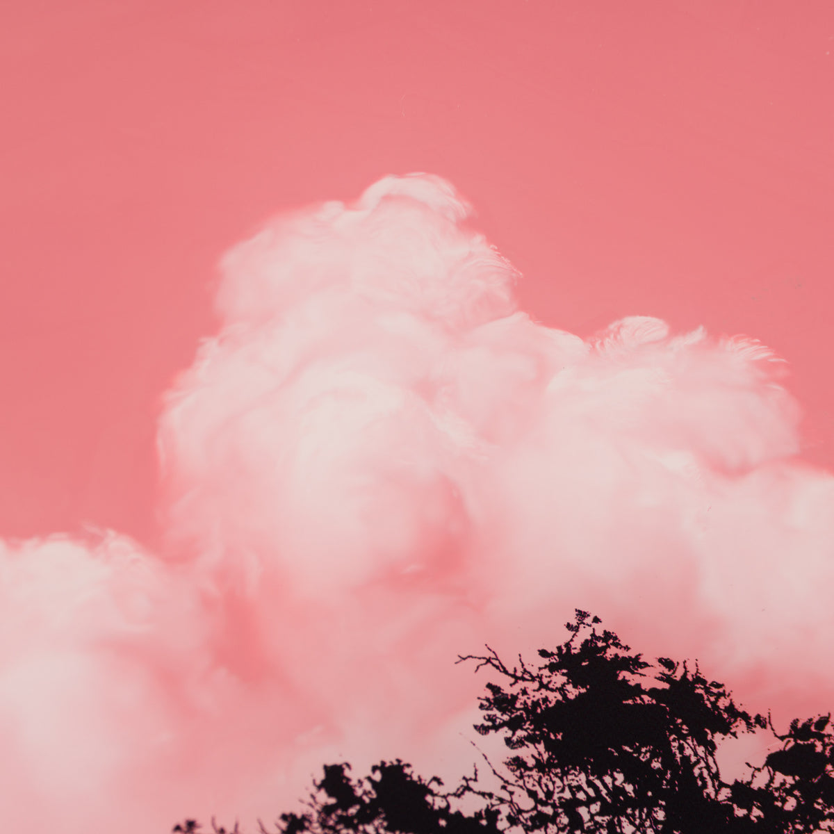 RRO ORI UNI 34003 Journey Beyond 22 6 