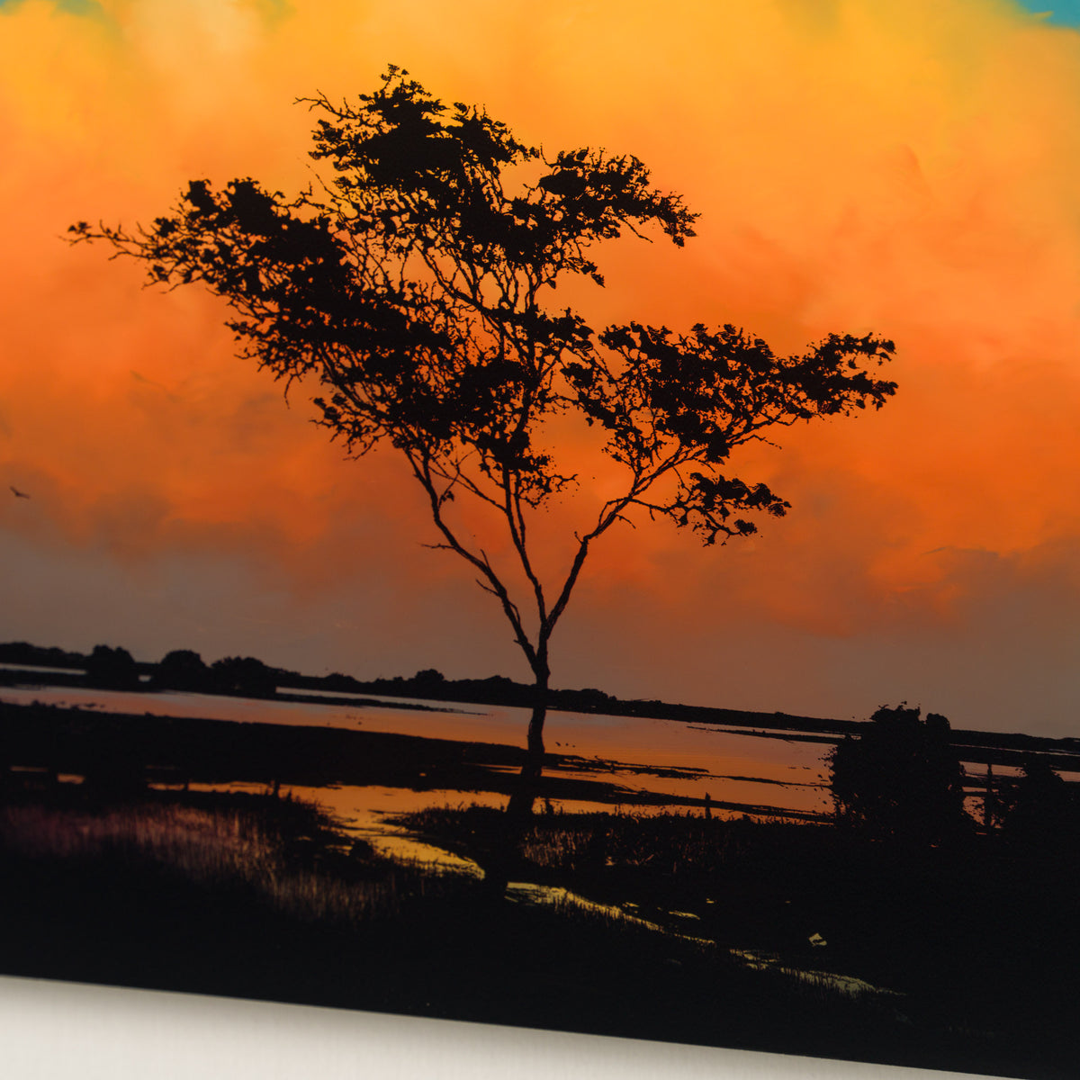 RRO ORI UNI 34005 Journey Beyond 24 5 