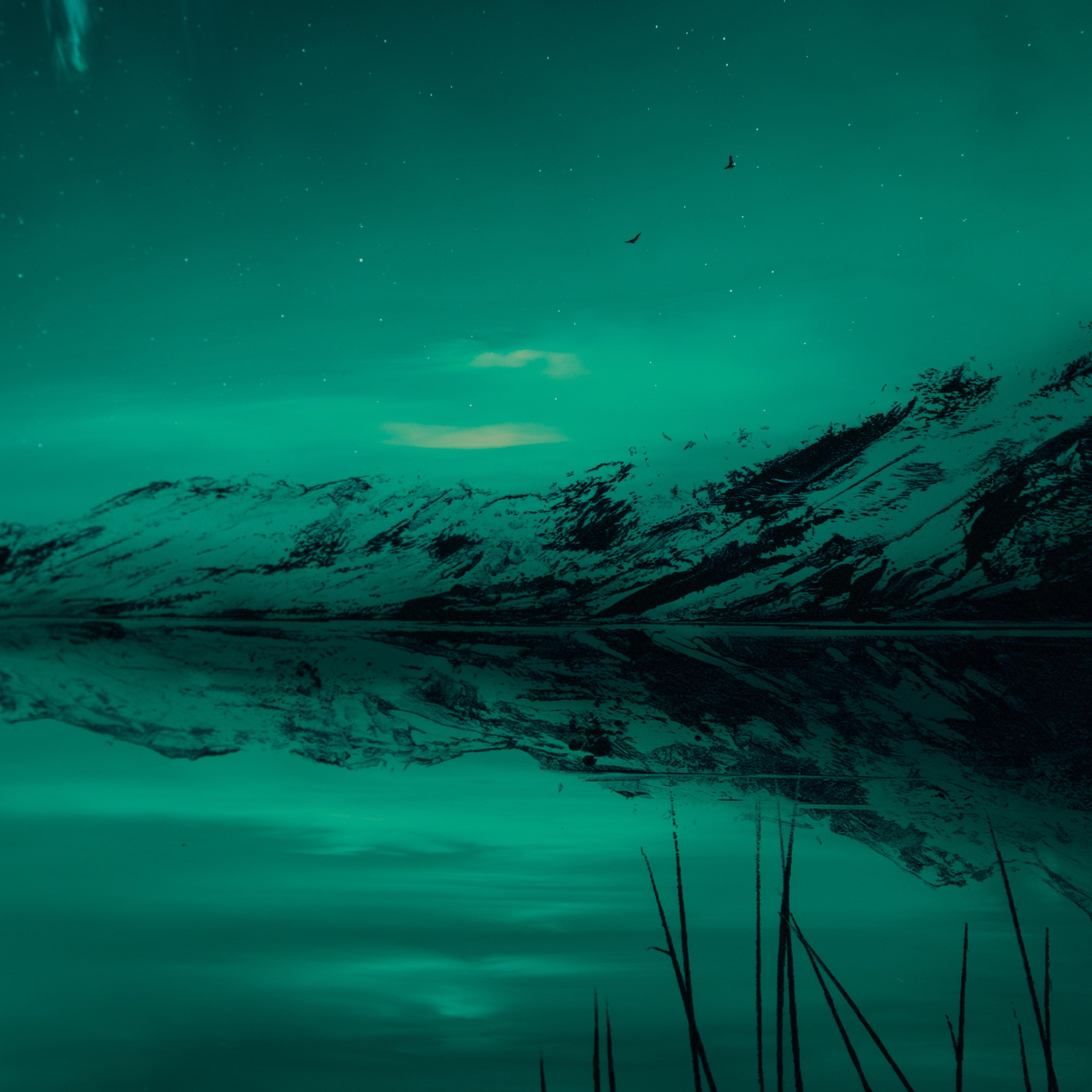 RRO ORI UNI 35972 A Tale To Be Told II 6 